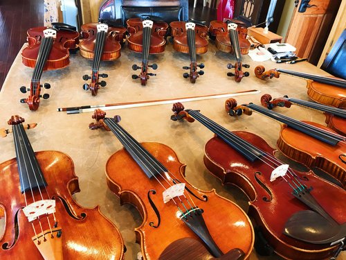 guitar build erklære Terra Nova Violins - The Largest Violin Shop in Texas