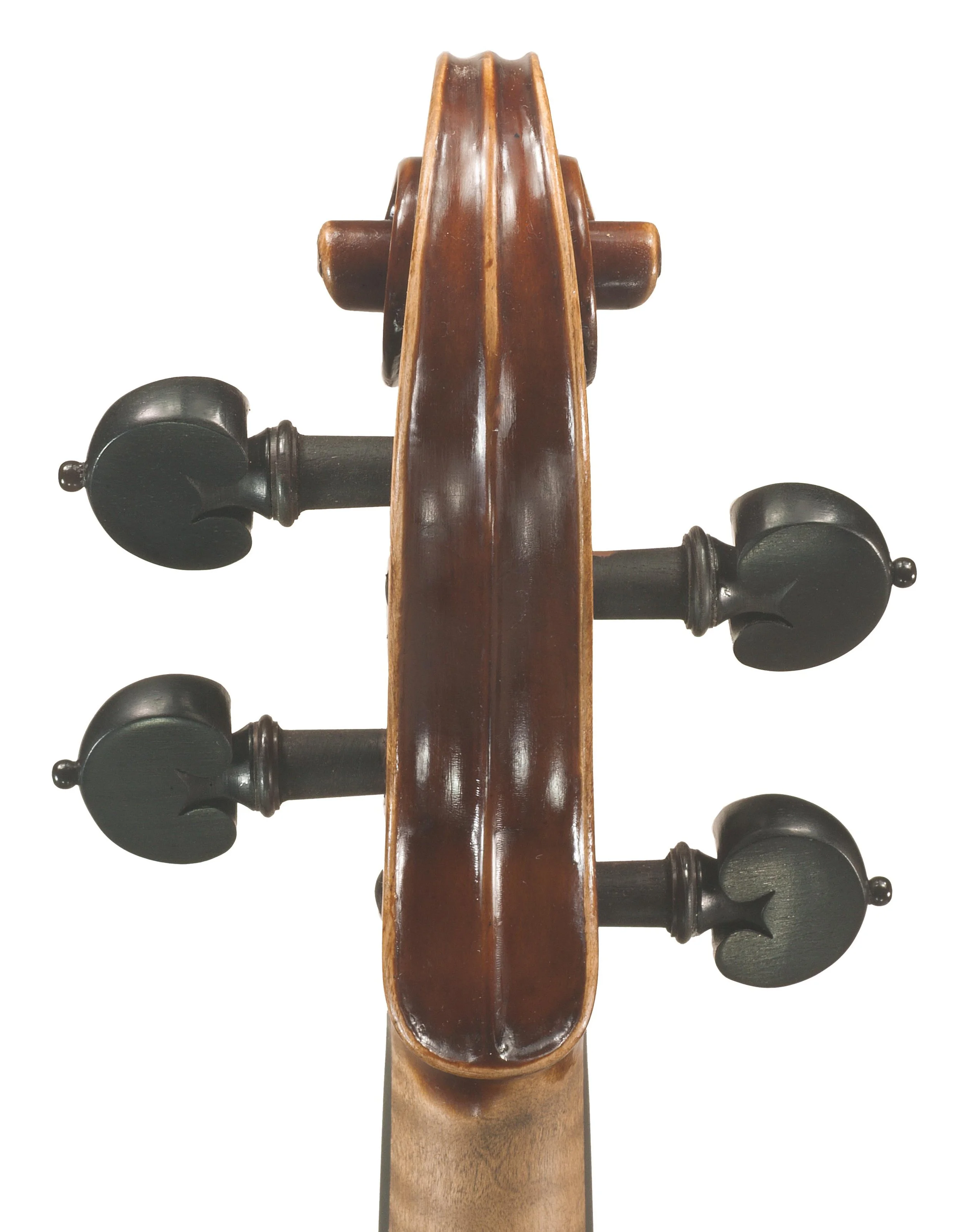 MARCO DOBRETSOVICH scroll3.jpg