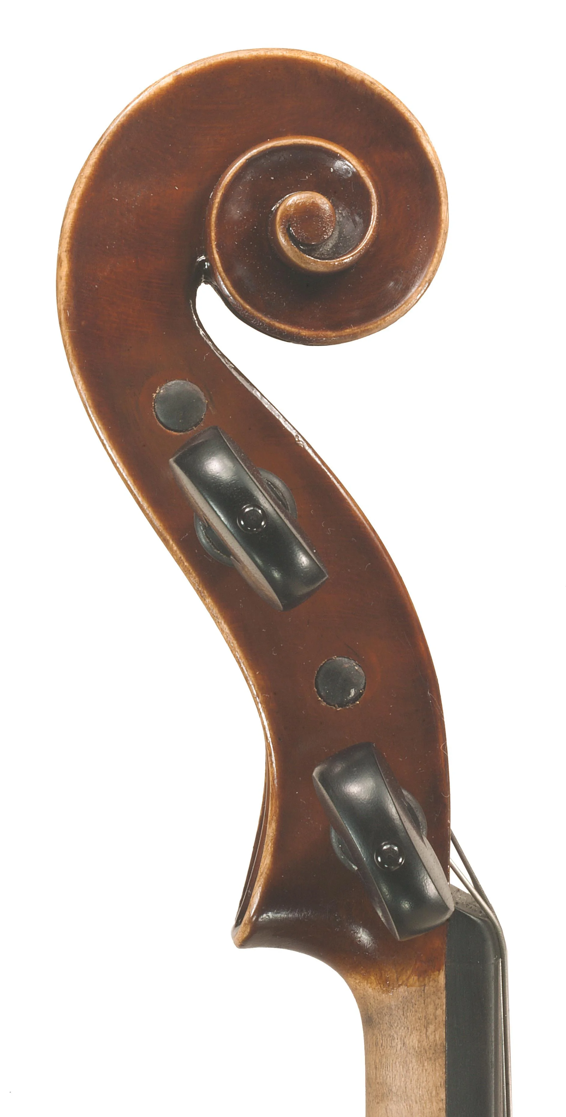 MARCO DOBRETSOVICH scroll1.jpg