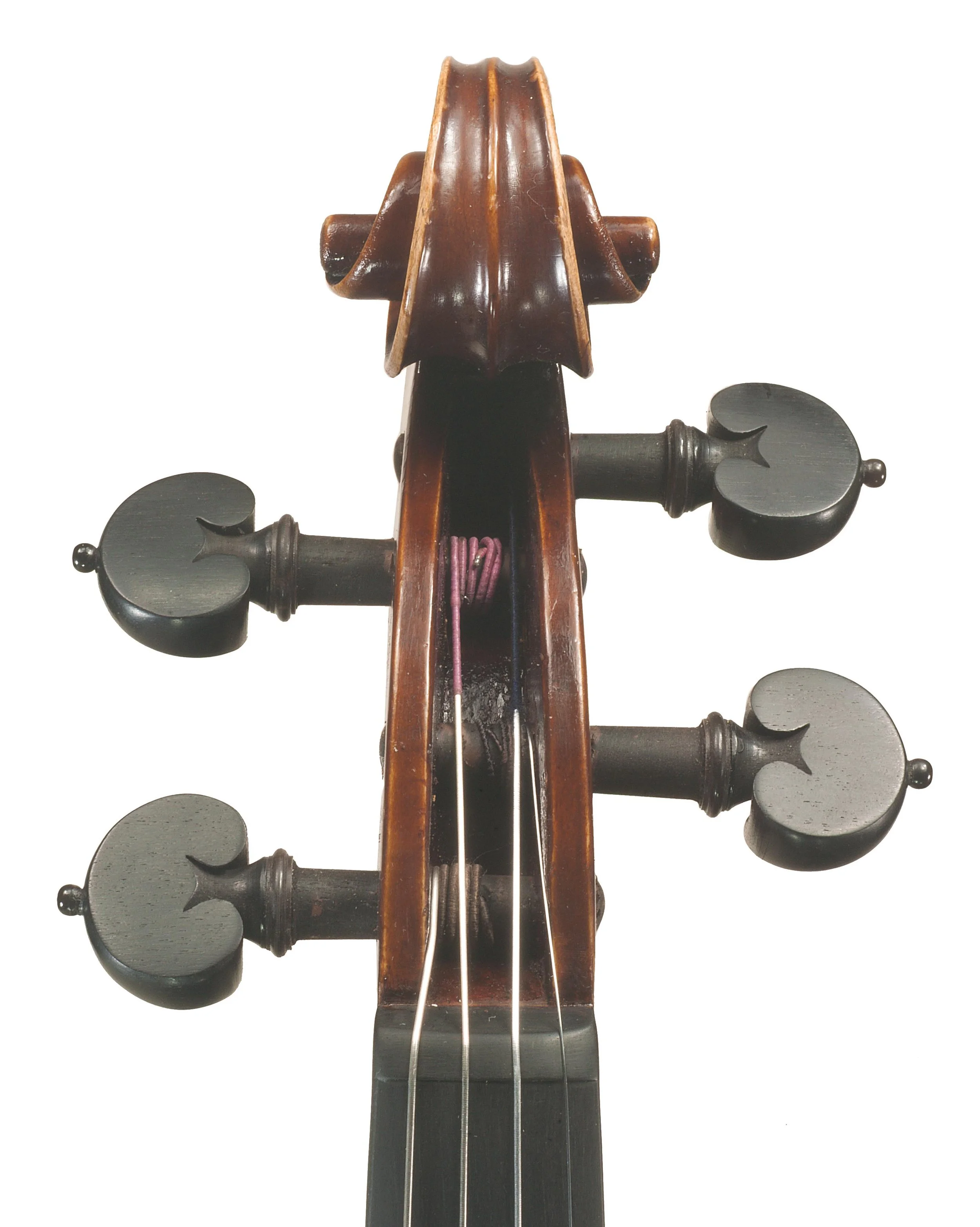 MARCO DOBRETSOVICH scroll2.jpg