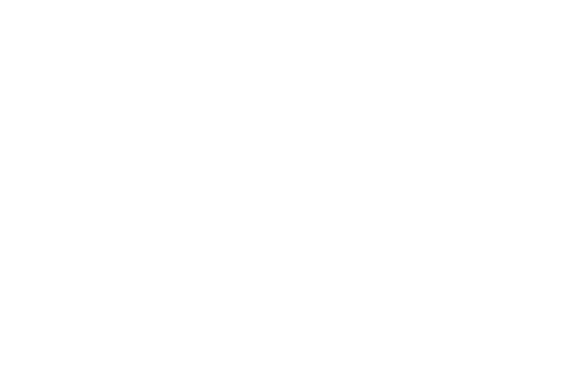 logo white cut 19.png