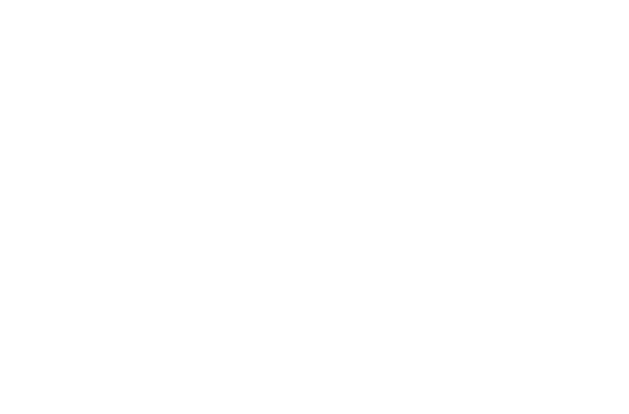 logo white cut 13.png