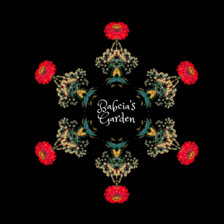 radial-symmetry-art-book