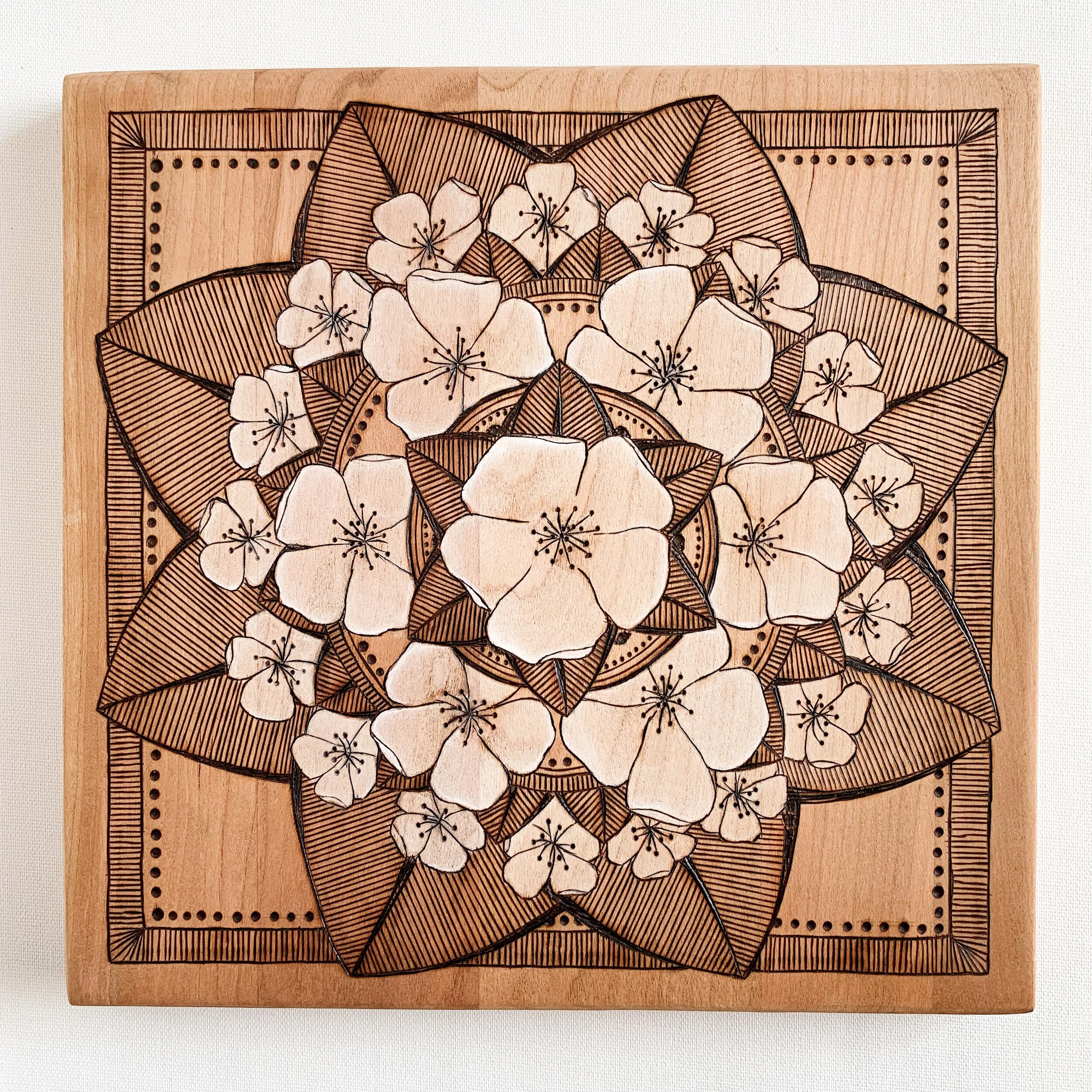 2B847589-3F27-4F5E-A955-988F15811B9D