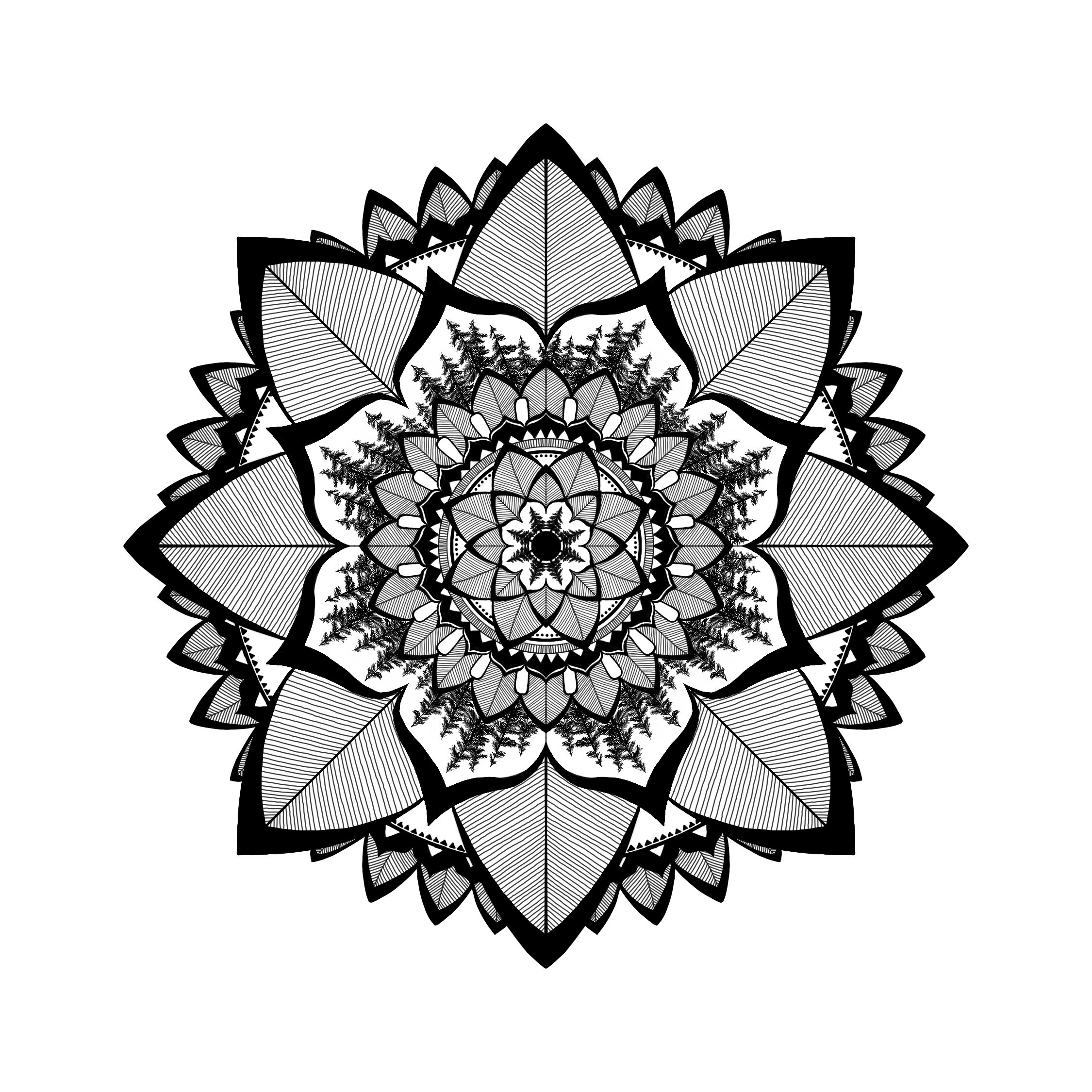 Untitled_Artwork.jpeg