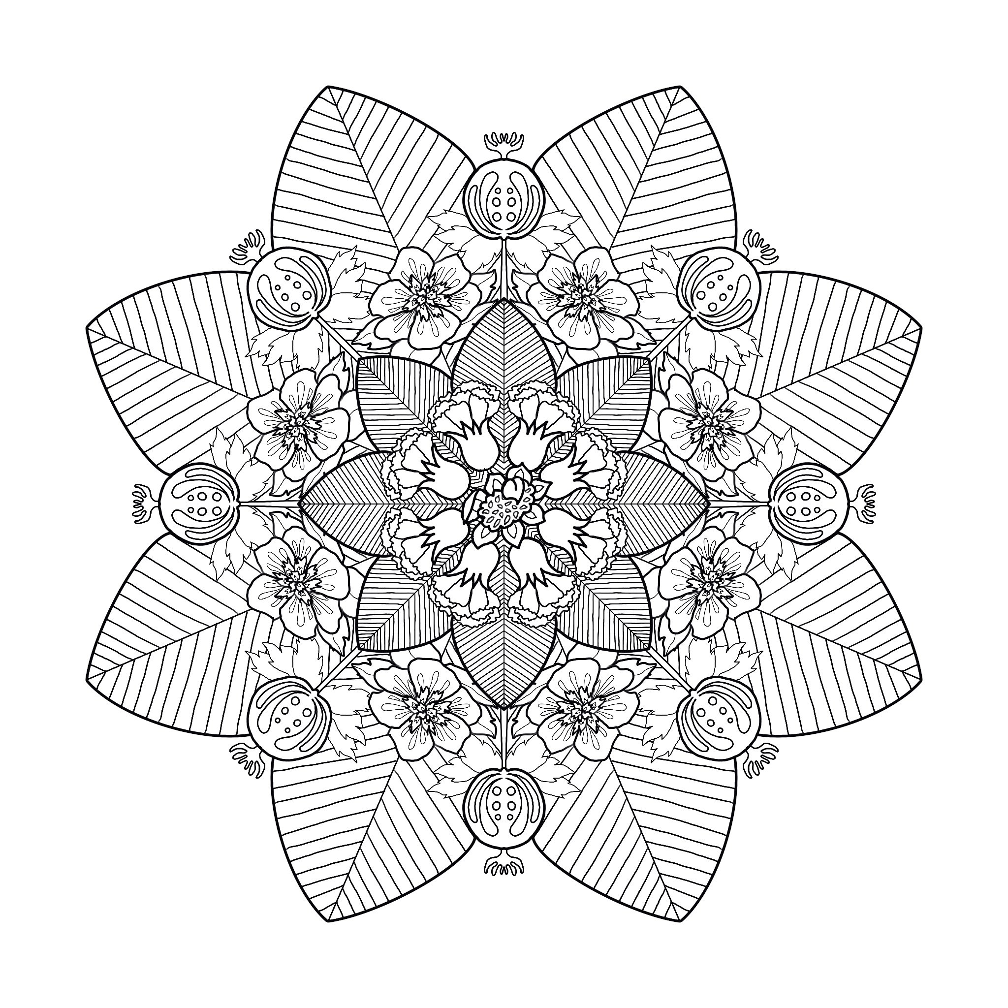 floral-mandala.jpg