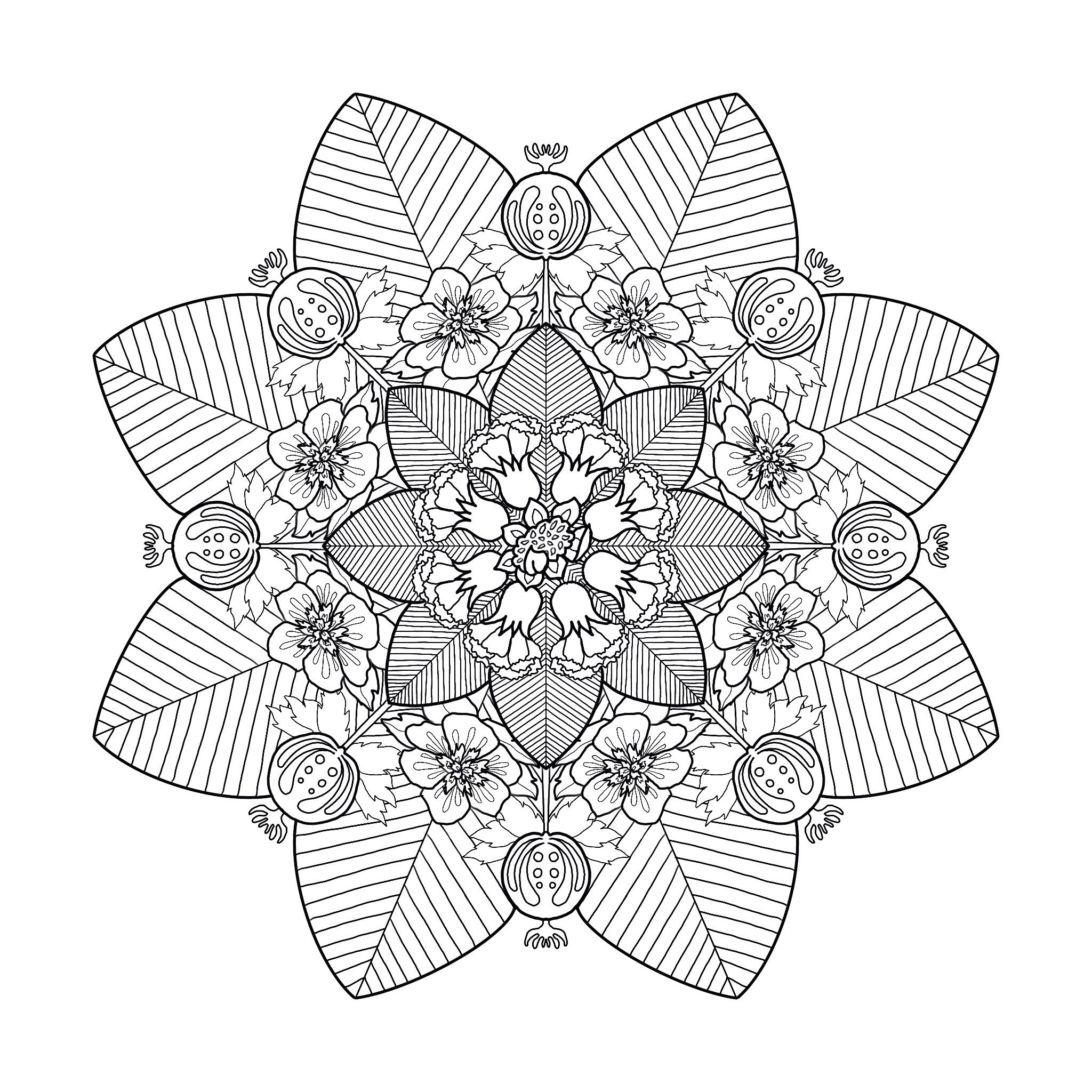Simple Mandalas for Adult: Tap into Your Creative Flow with Easy Mandala  Art by Dawn Green