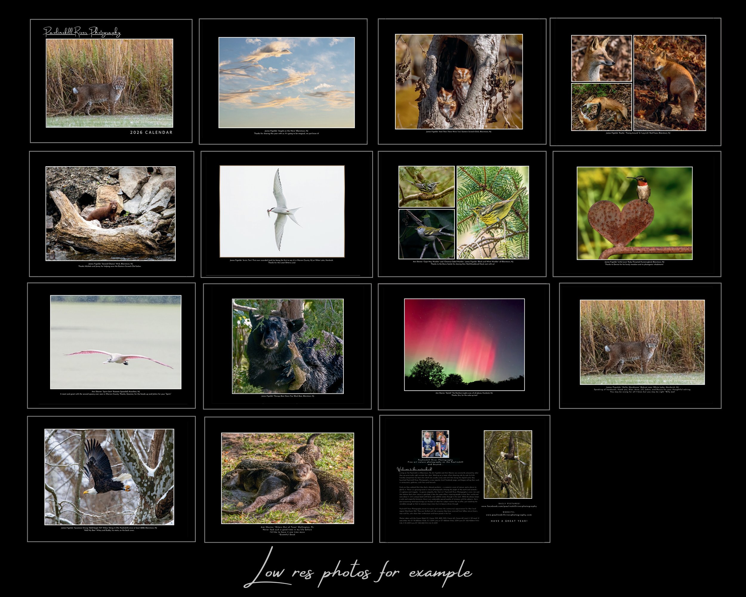 2026Calendar Contact sheet .jpg