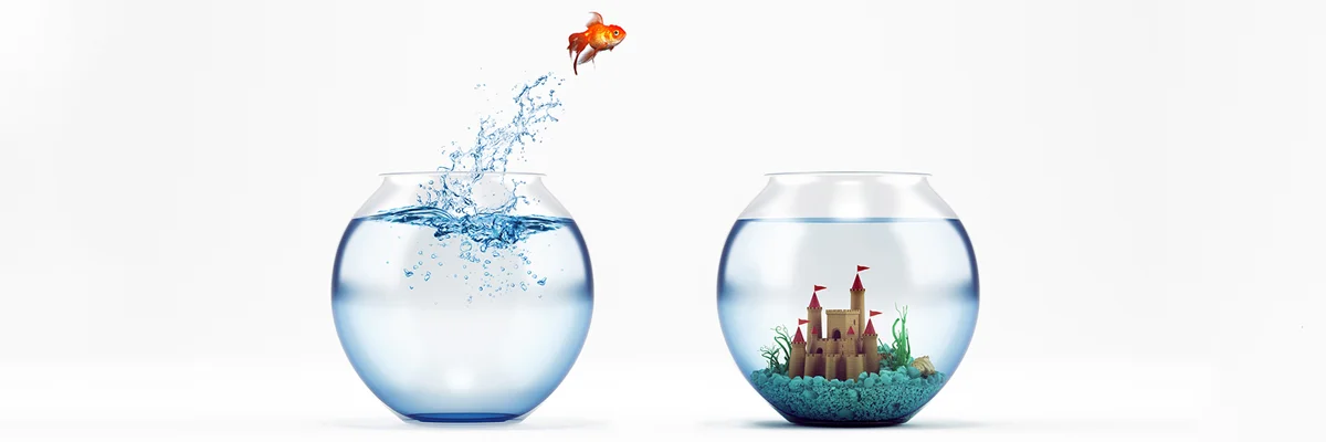 Fish jumping.jpg