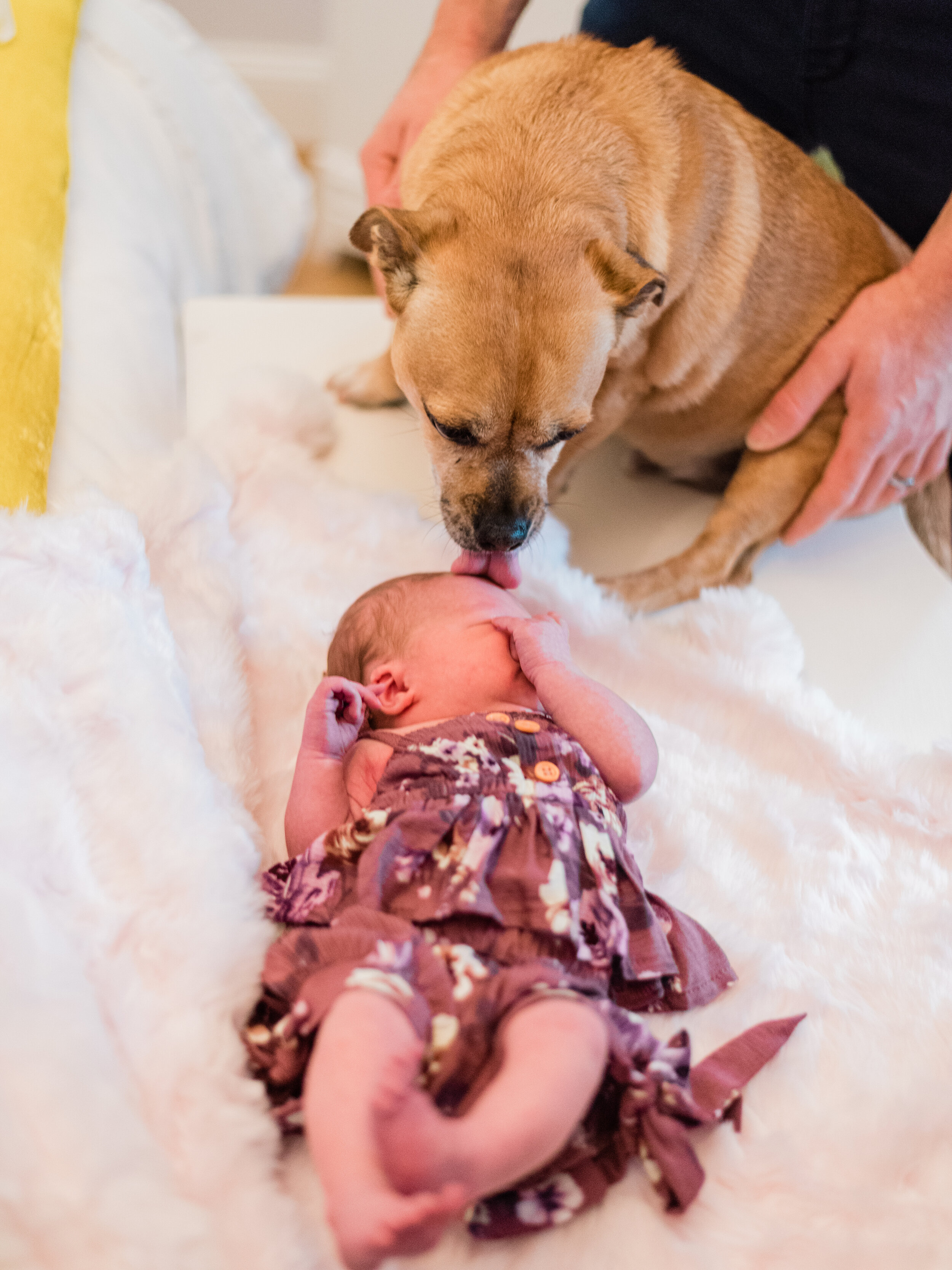 Lifestyle Newborn Session Arlington wa -  (1).jpg