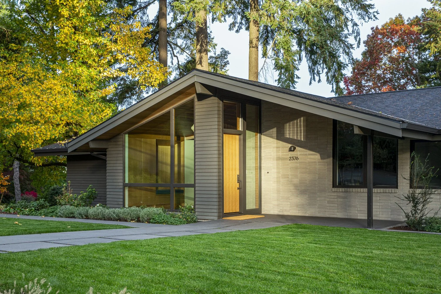 fernwood_004.jpg