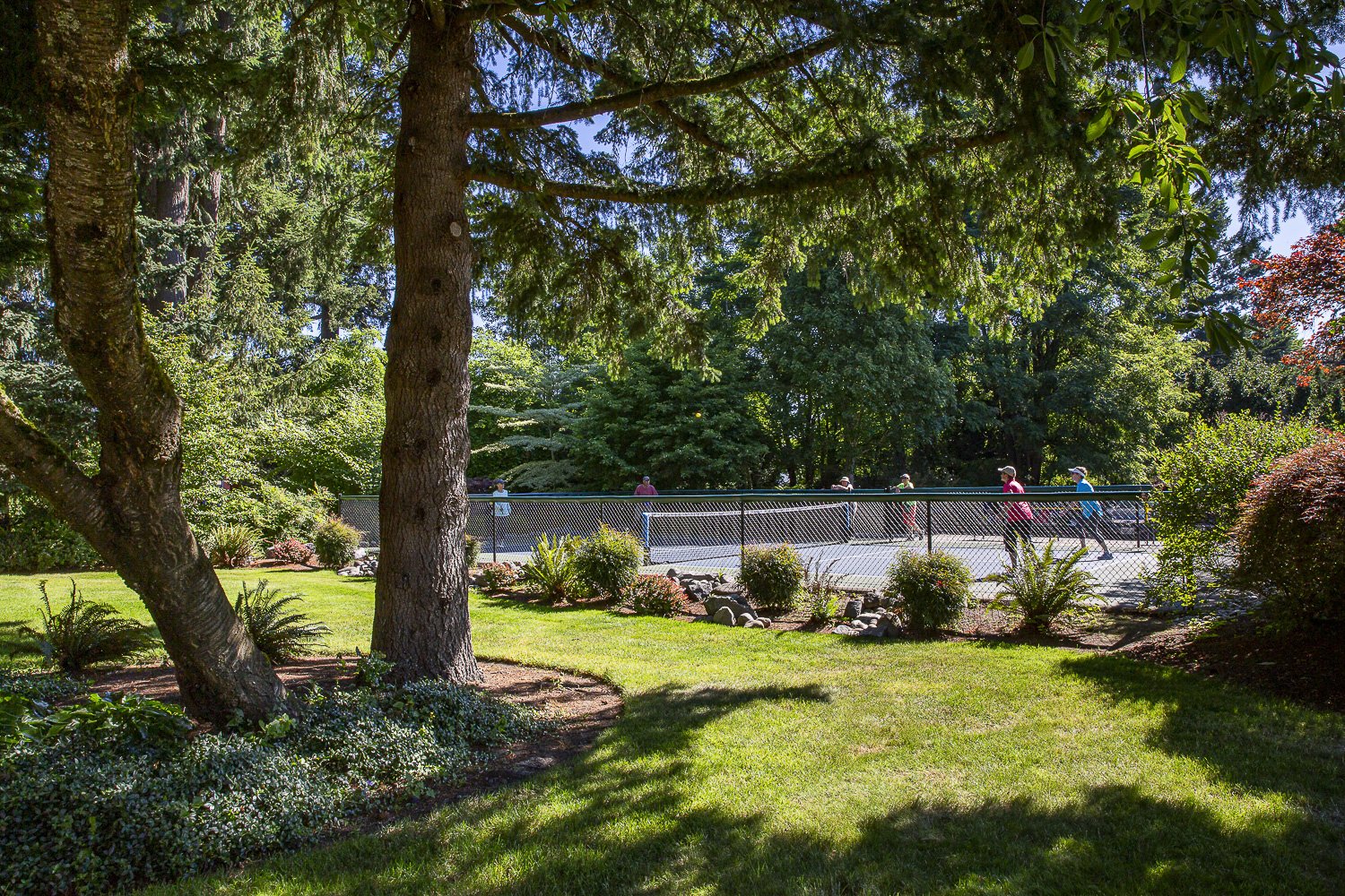 panorama_2022_0107-Edit-2.jpg