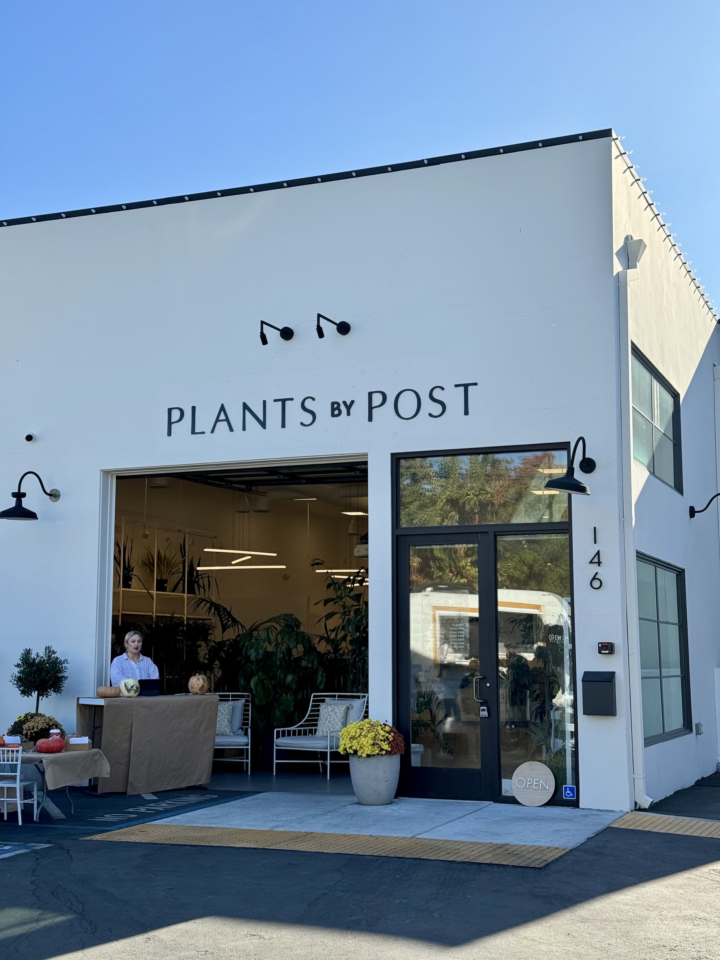 Pop Up: Auntie’s Wellness Market