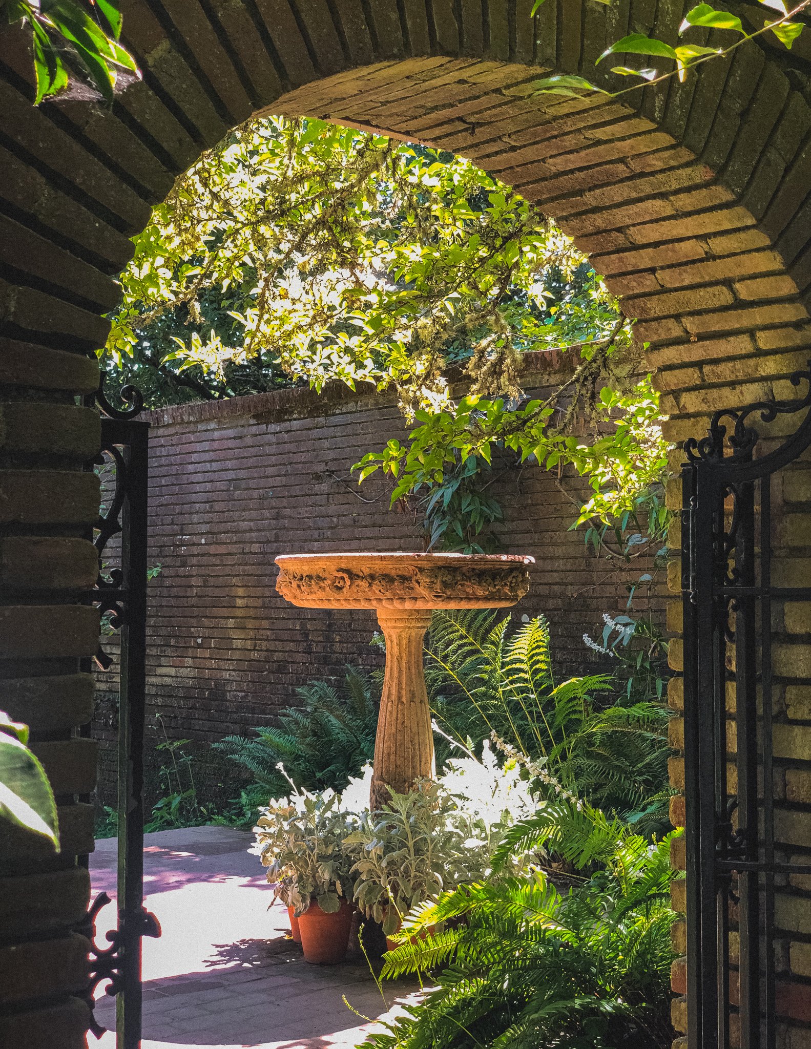 Pop Up: Summer Nights at Filoli
