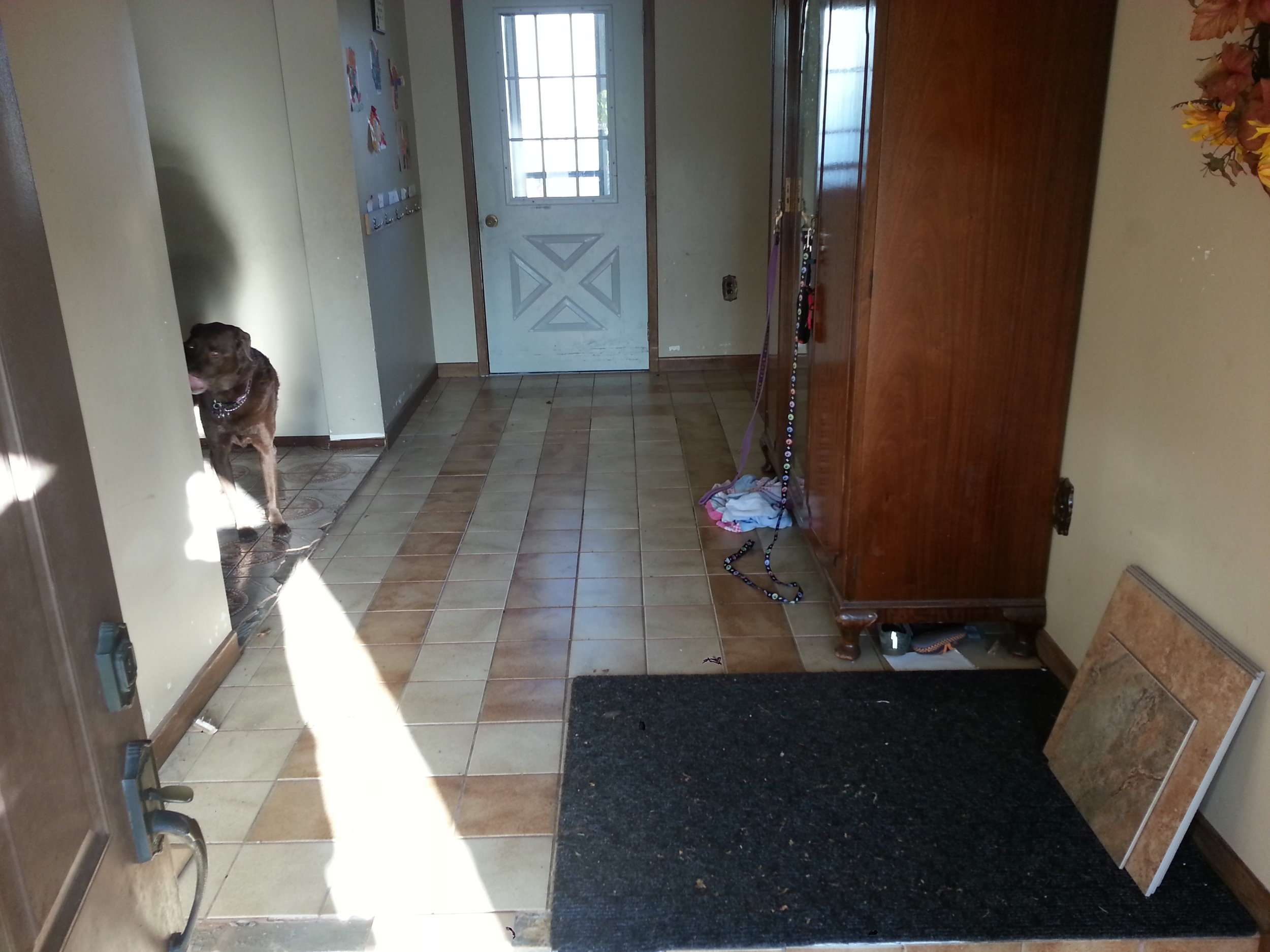 20151111_085951.jpg
