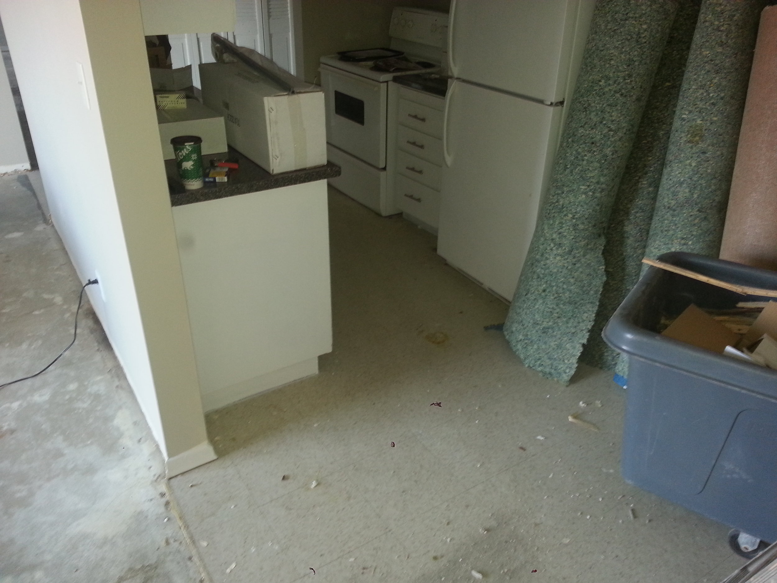 20151218_094252.jpg