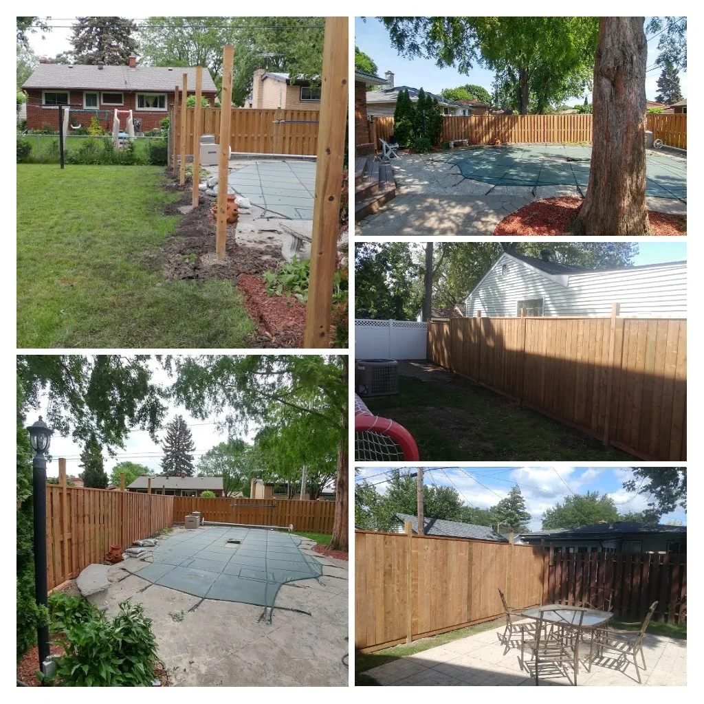 20190111_223727-COLLAGE.jpg