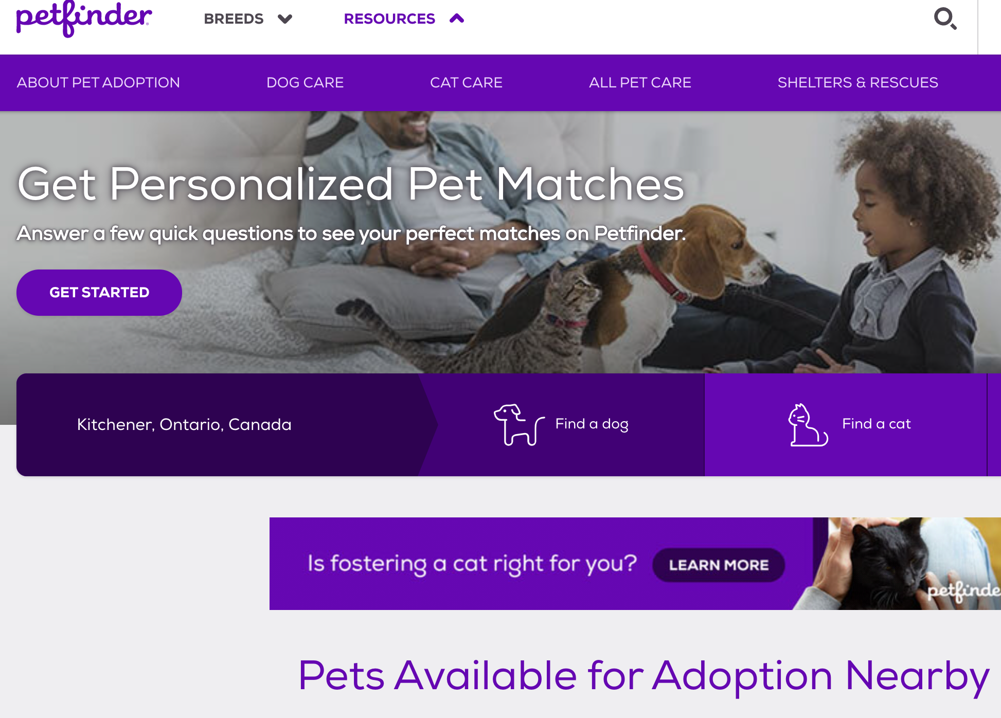How Do I Save My Dog On Petfinder