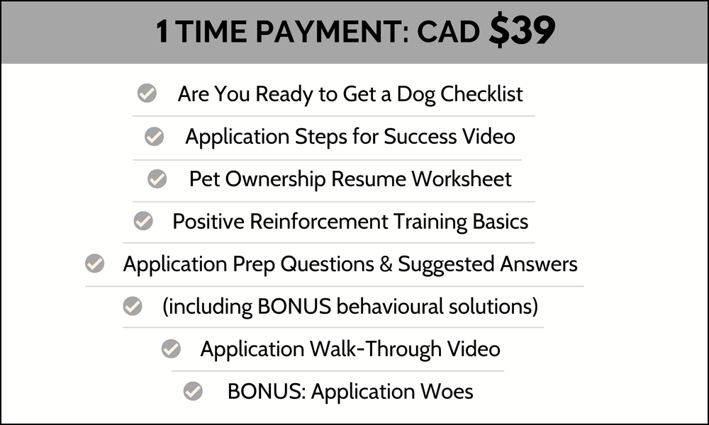 Dog Adoption Application Survival Kit — Pawdoption Guide