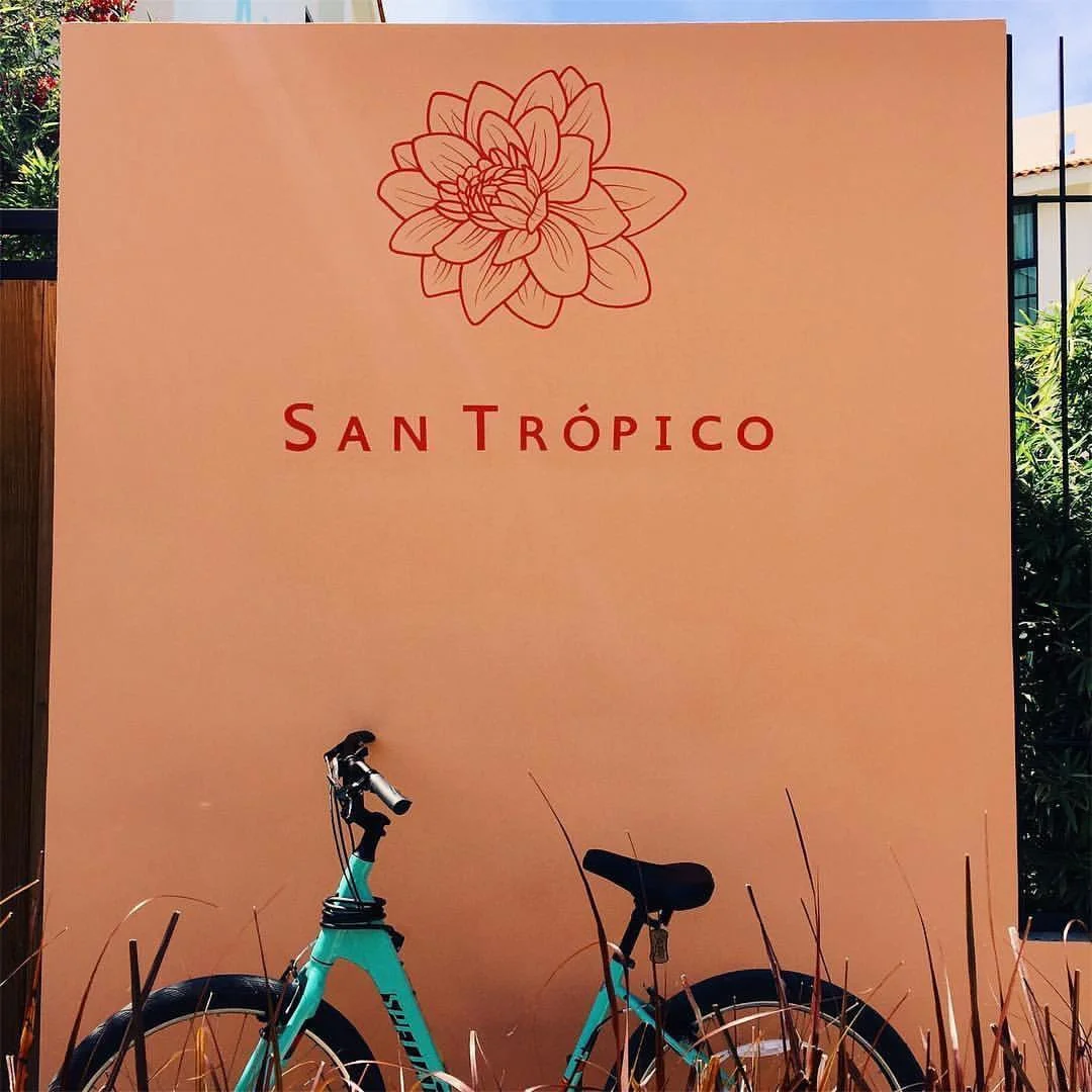 san tropico Puerto Vallatra