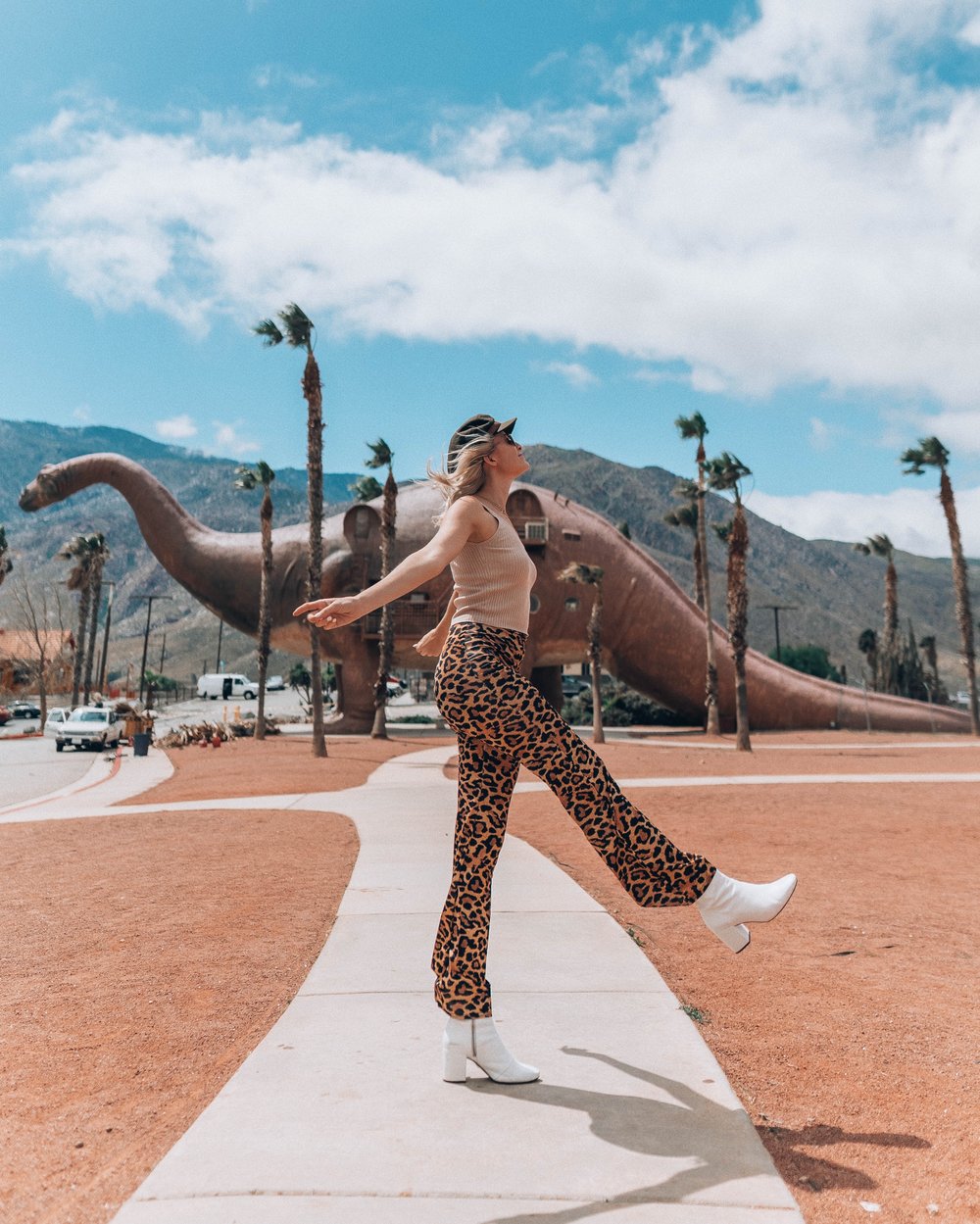 cabazon dino ca.JPG