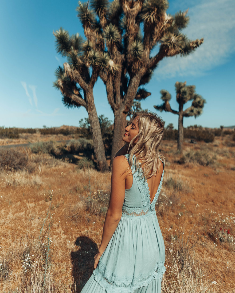 joshua tree 