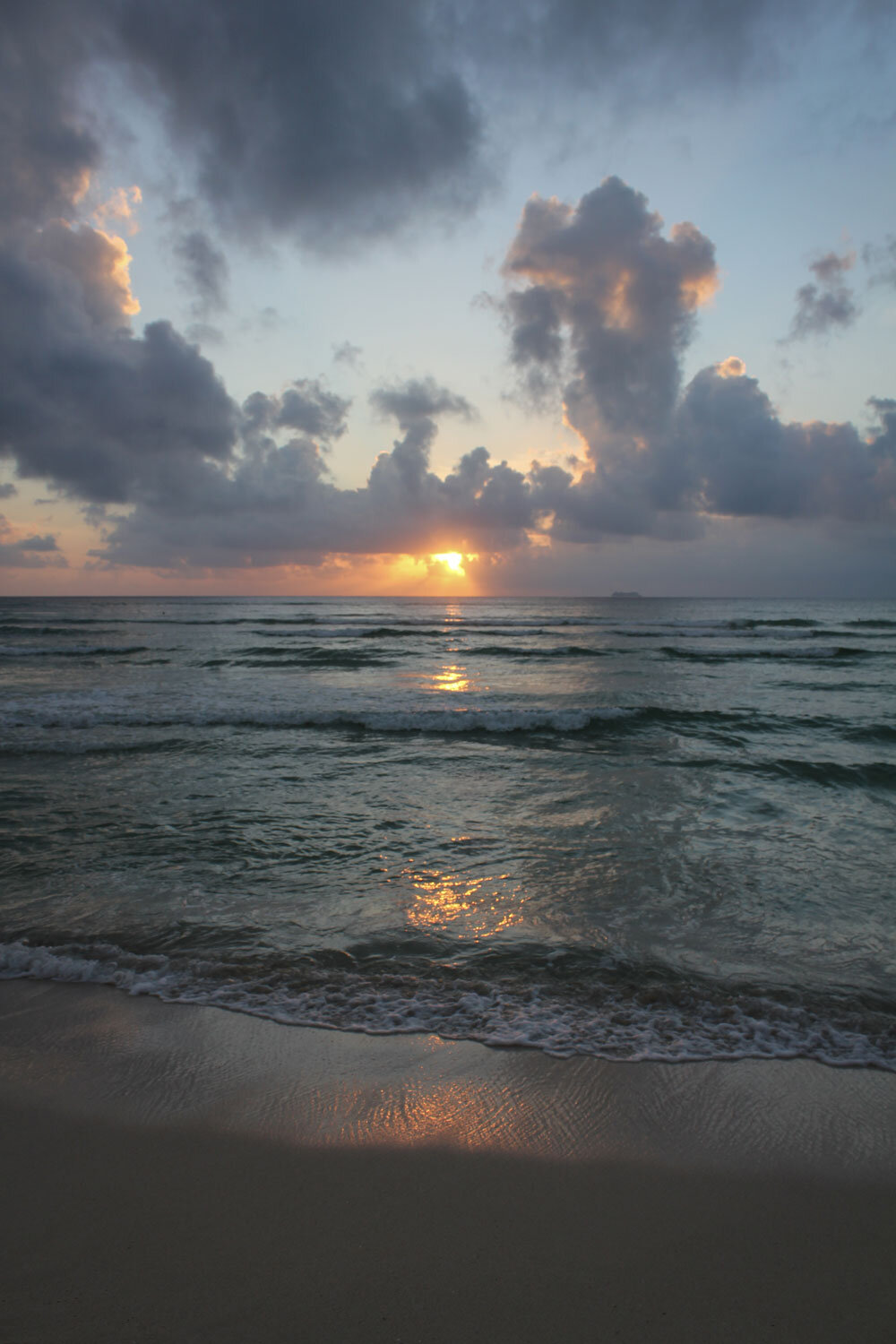 IMG_0195w.jpg