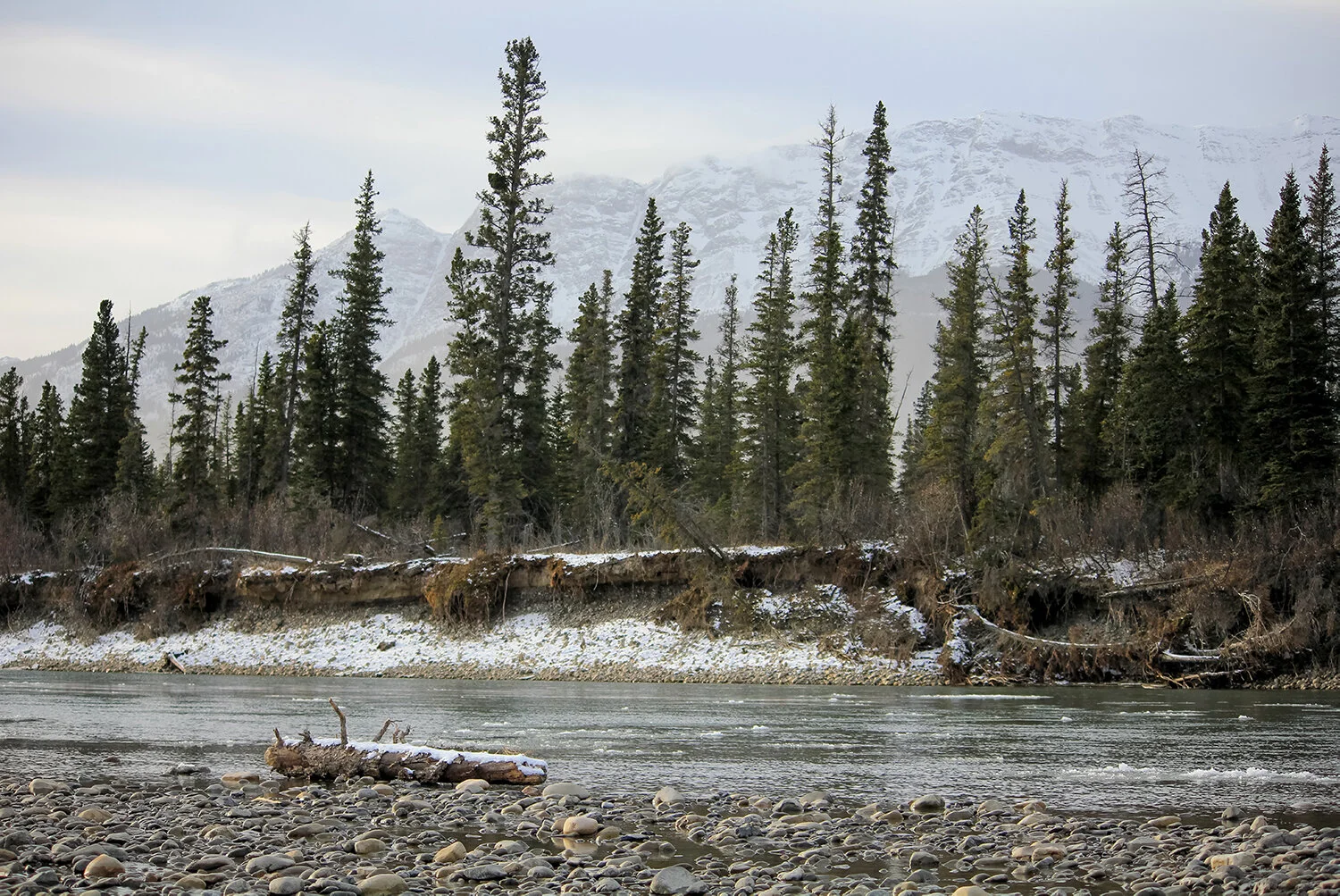 _MG_4248 without wm.jpg