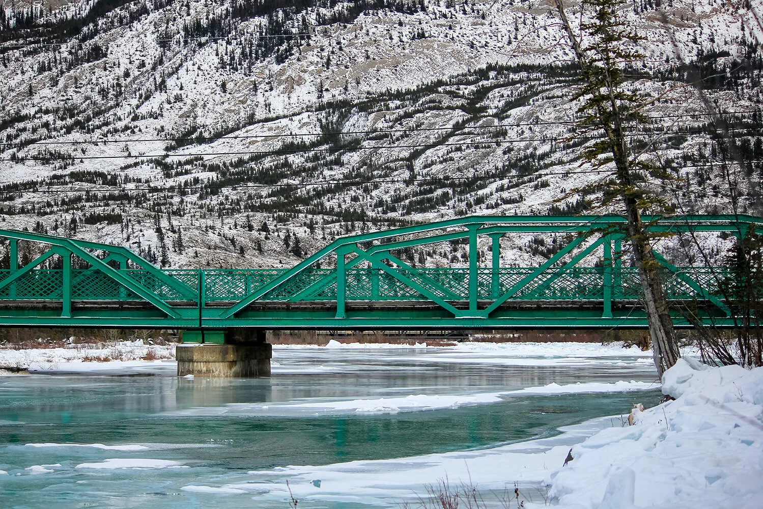 _MG_4416 without wm.jpg