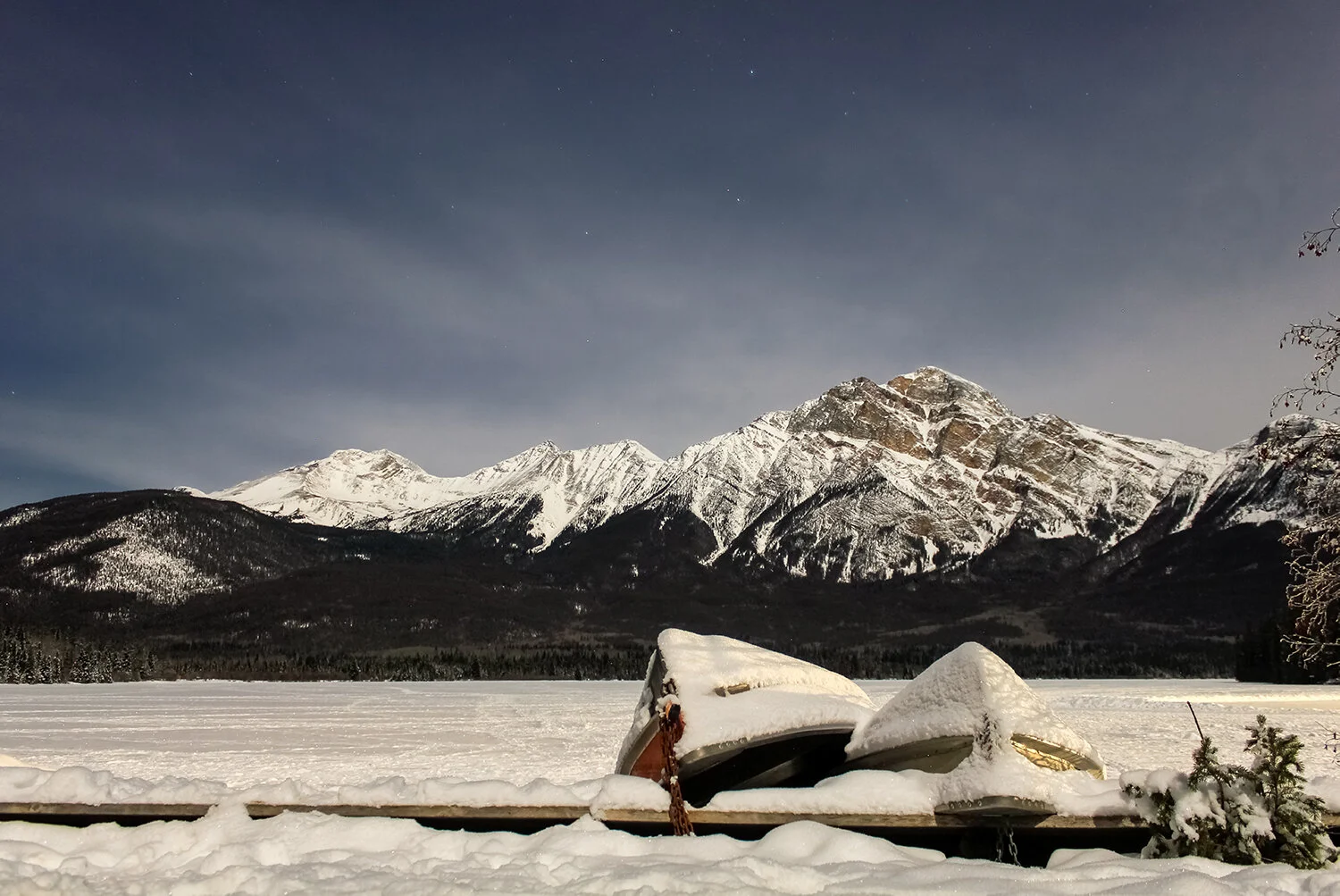 _MG_4566 without wm.jpg