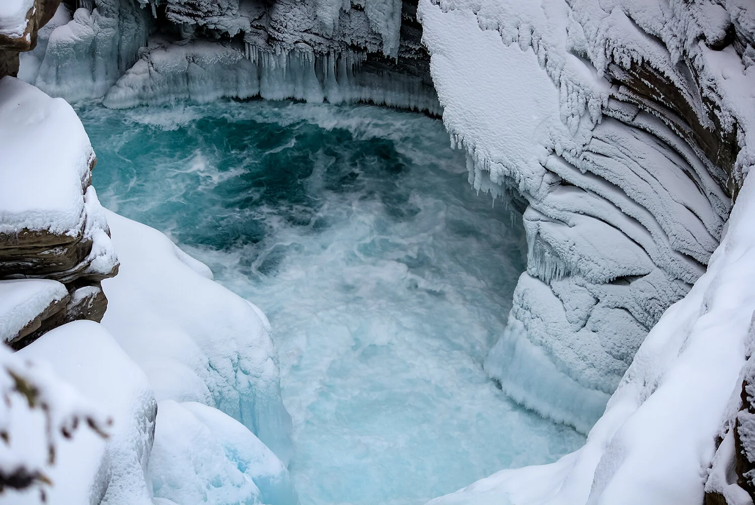 _MG_4919 without wm.jpg