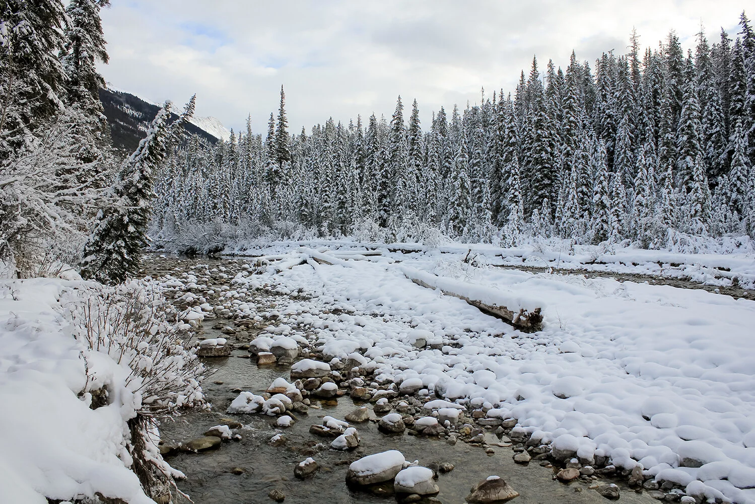 _MG_5061-3 without wm.jpg