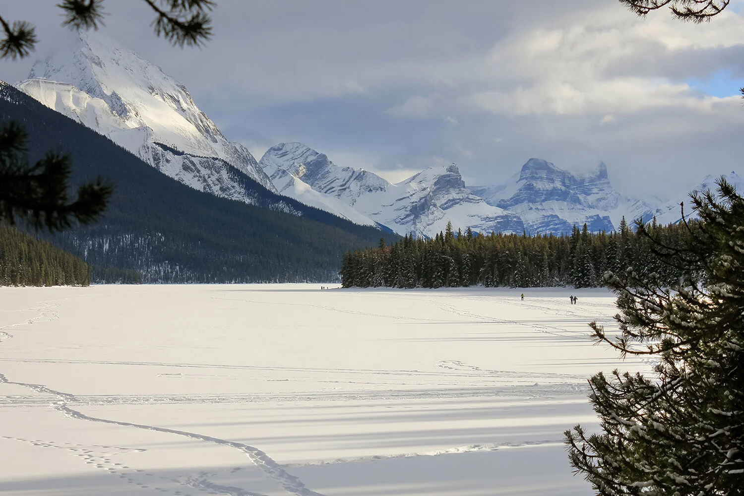 _MG_5088-2 without wm.jpg