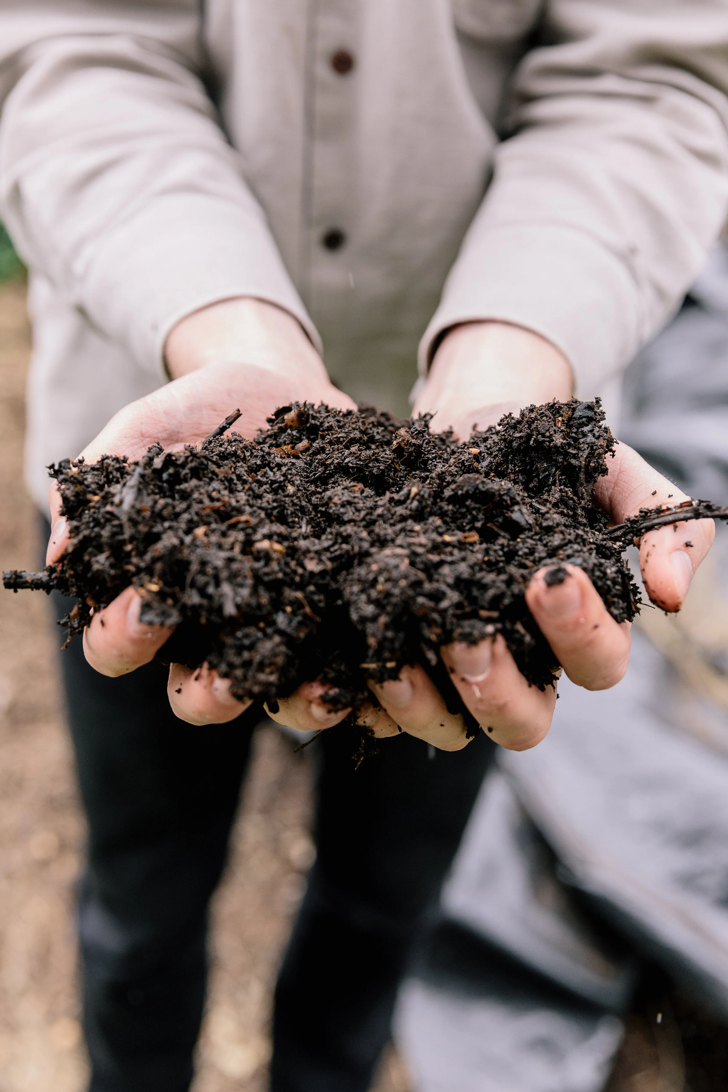 Spinoff Te Punaha Matatini-57.JPG