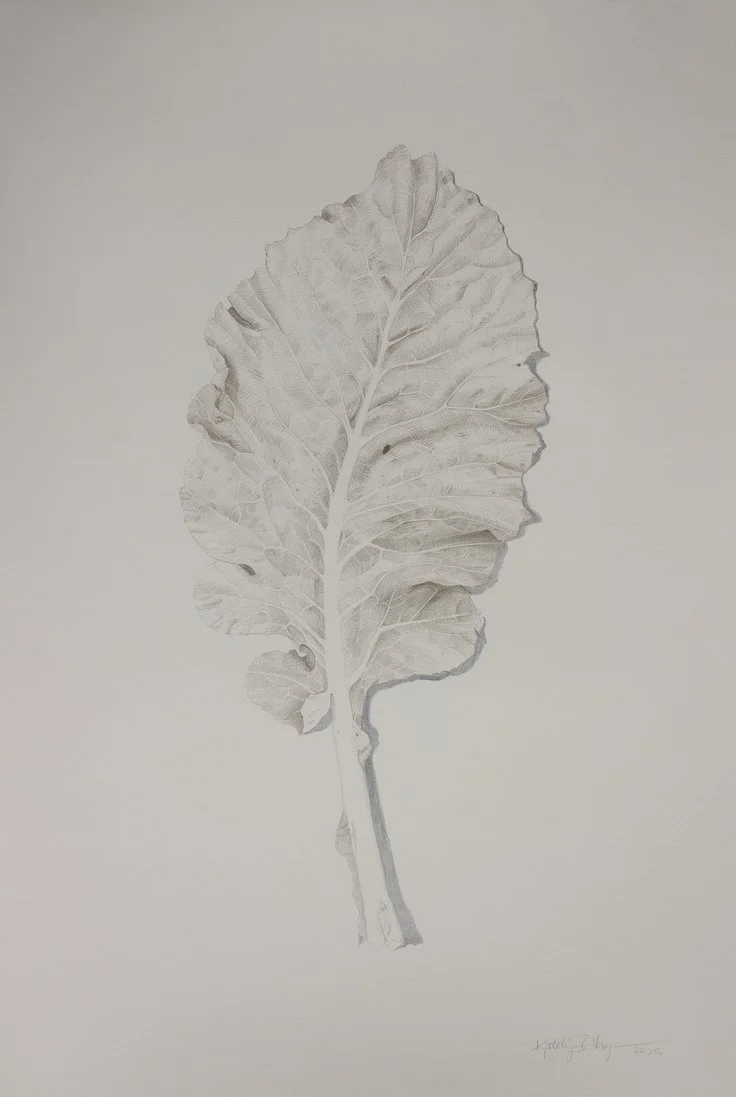 Colin's Collards_72dpi.jpeg