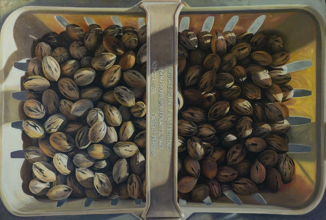 Pineywoods Pecans 72dpi.jpg