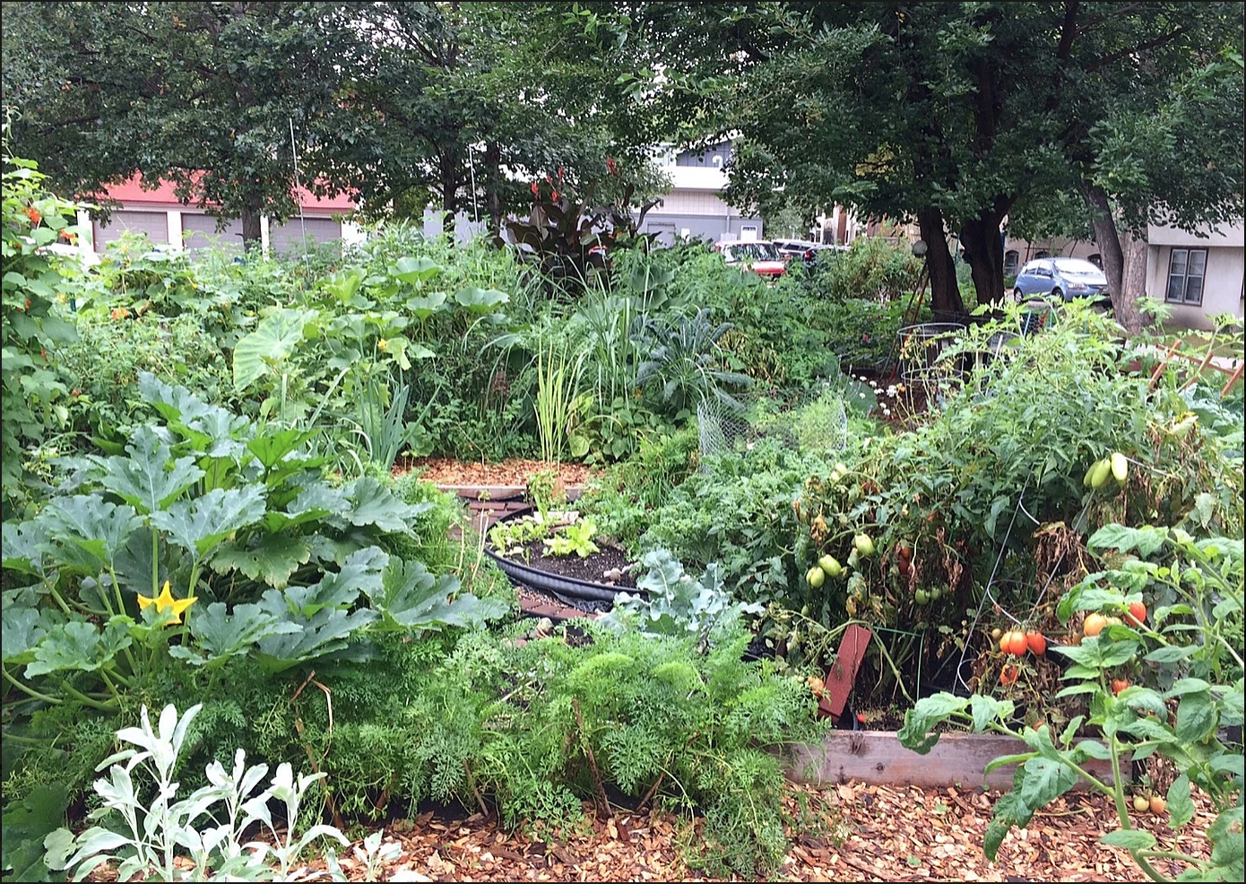 Screen Shot 2021-02-01 at 1.22.38 PM.png