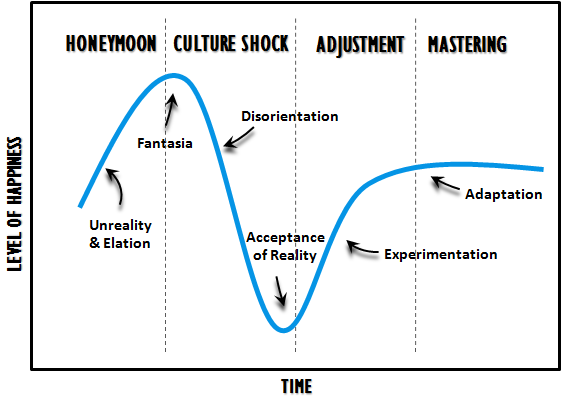 Culture-Shock graph .png