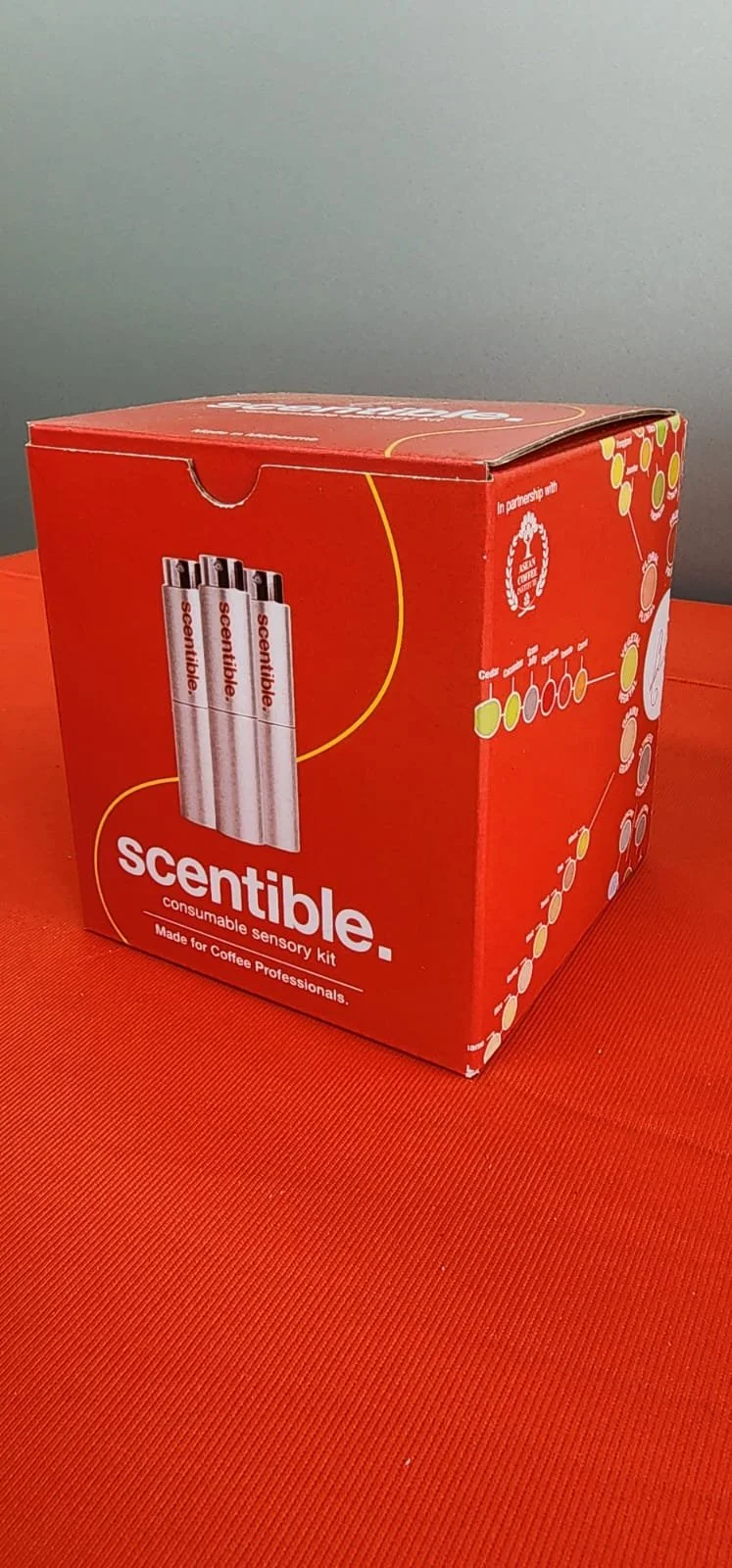 Scentible Box.jpg