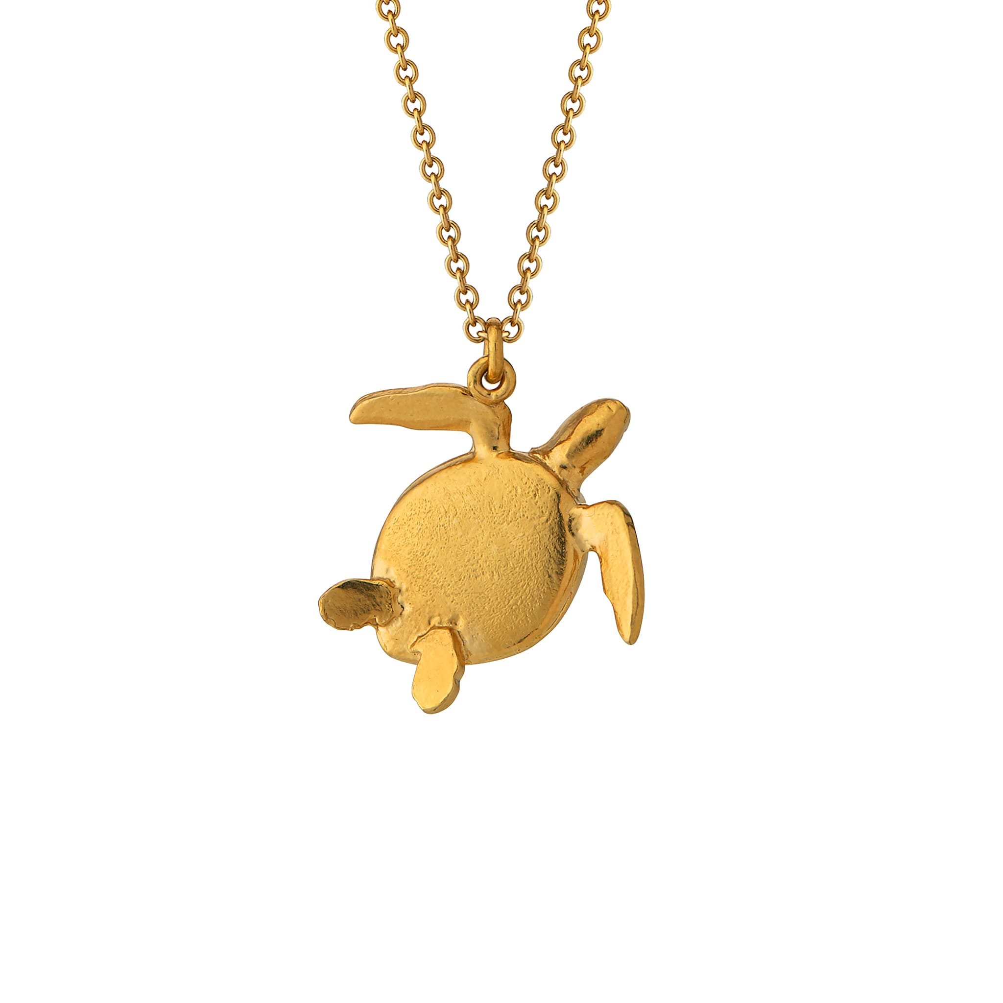 Turtle Necklace 2.jpg