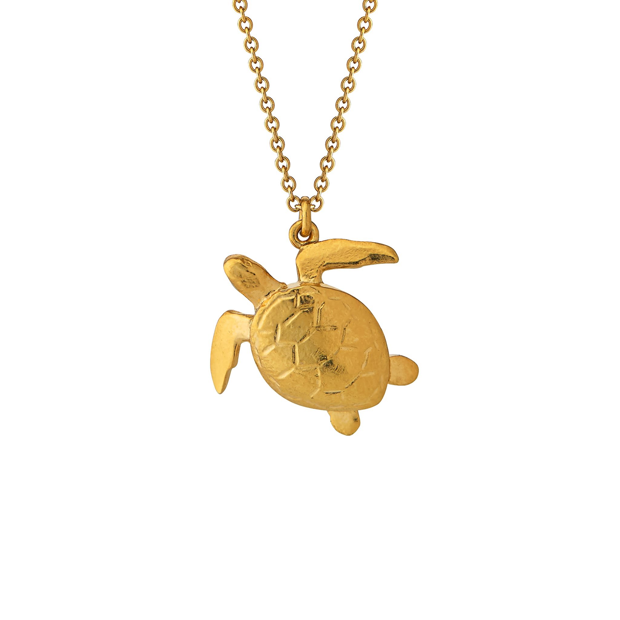 Turtle Necklace.jpg