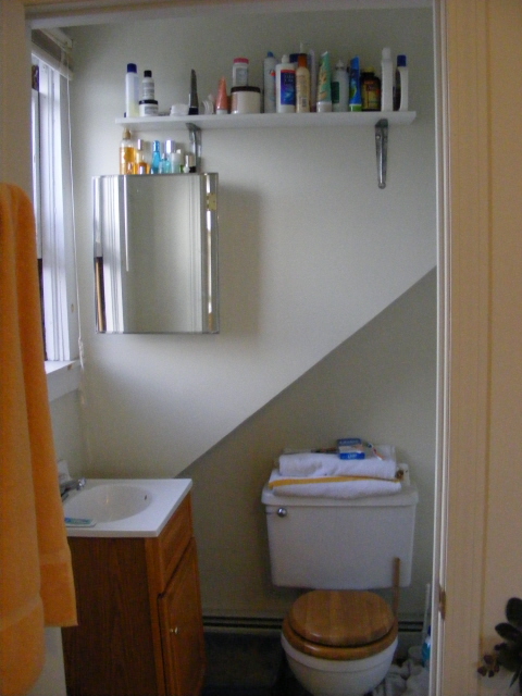 Ives Rear 3 bathroom.jpg