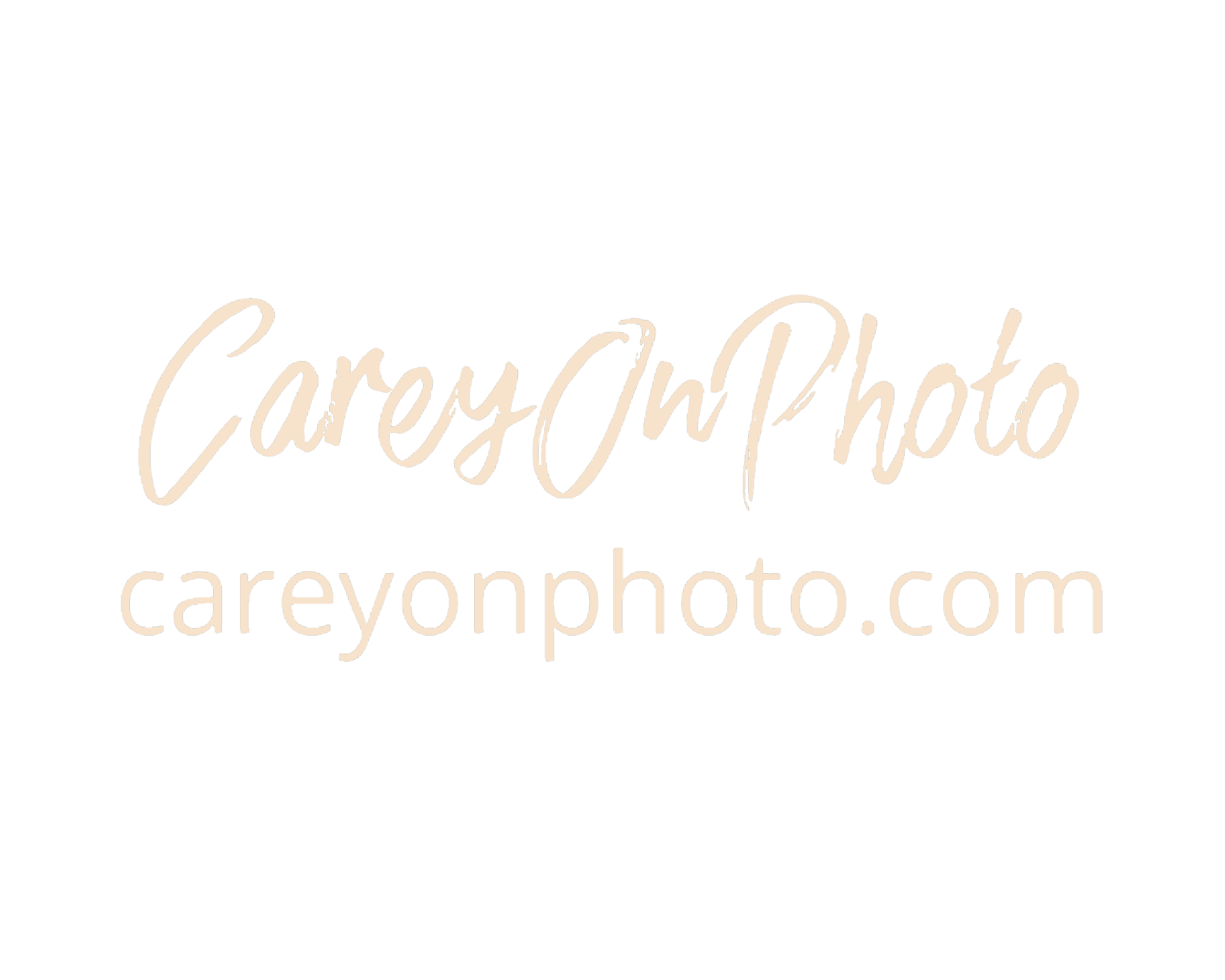 sponsor_Artboard 38 copy 20.png