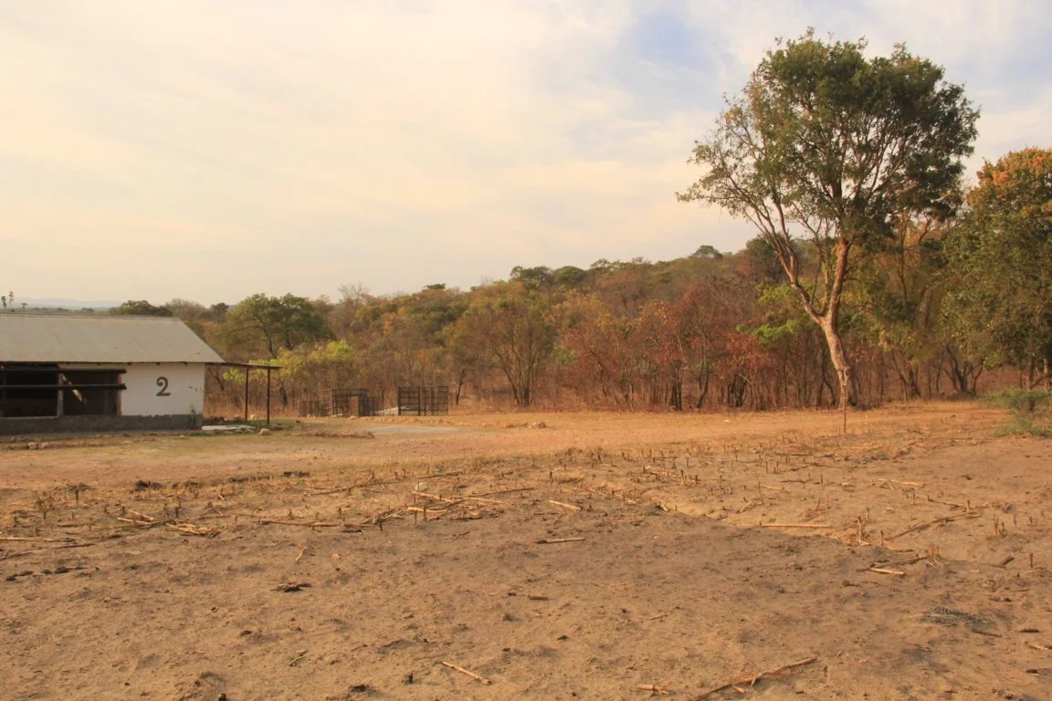 AIU_Building_Poultry Exapansion Space (3).JPG