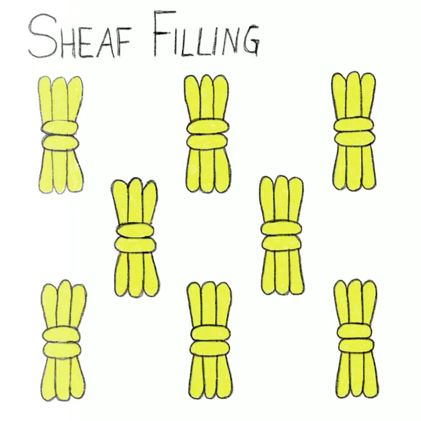 SheafFillingStitch.jpg