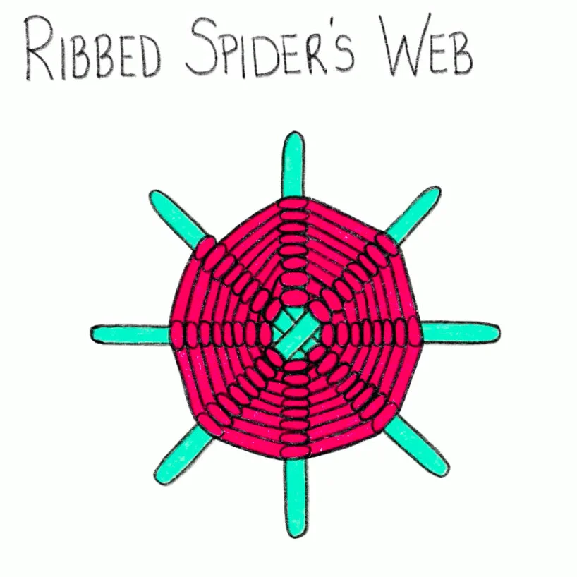 RibbedSpidersWeb.jpg