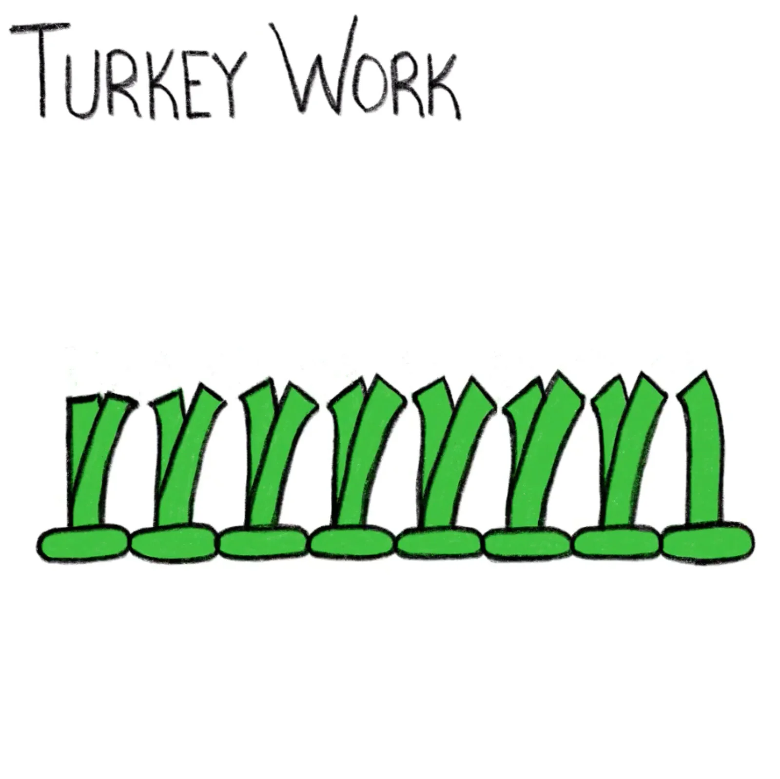 Turkey Work.jpg