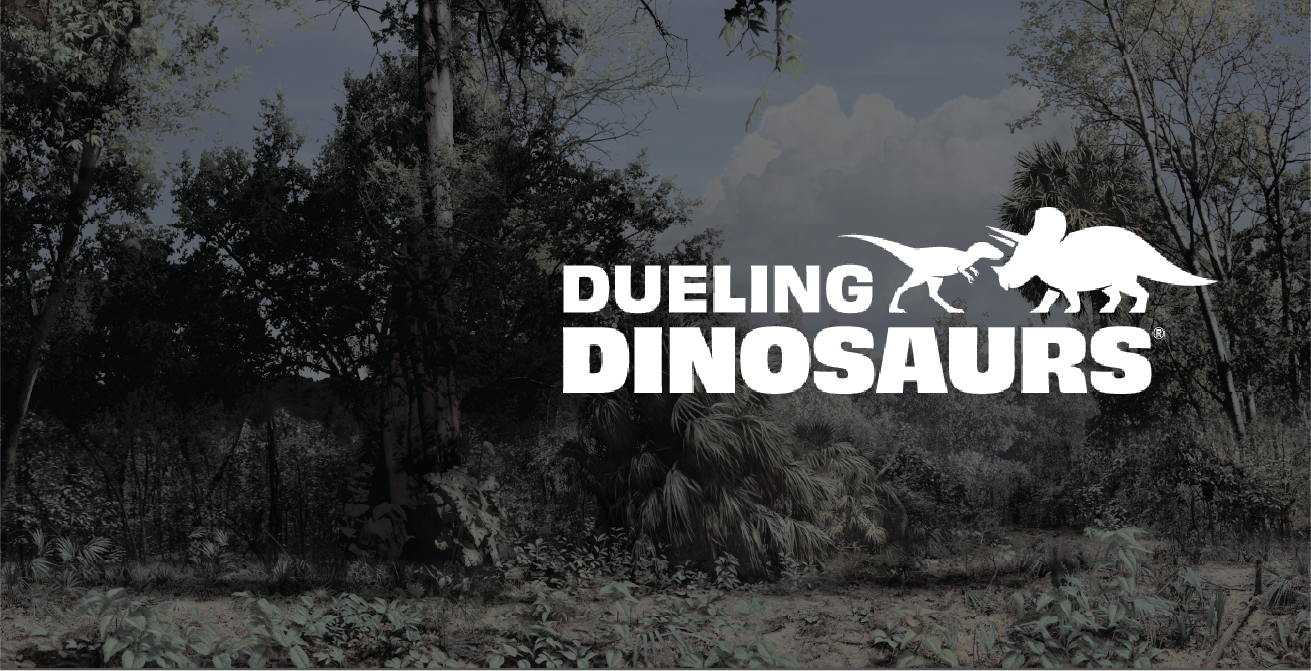 BWDD_Portfolio webprimary image.png