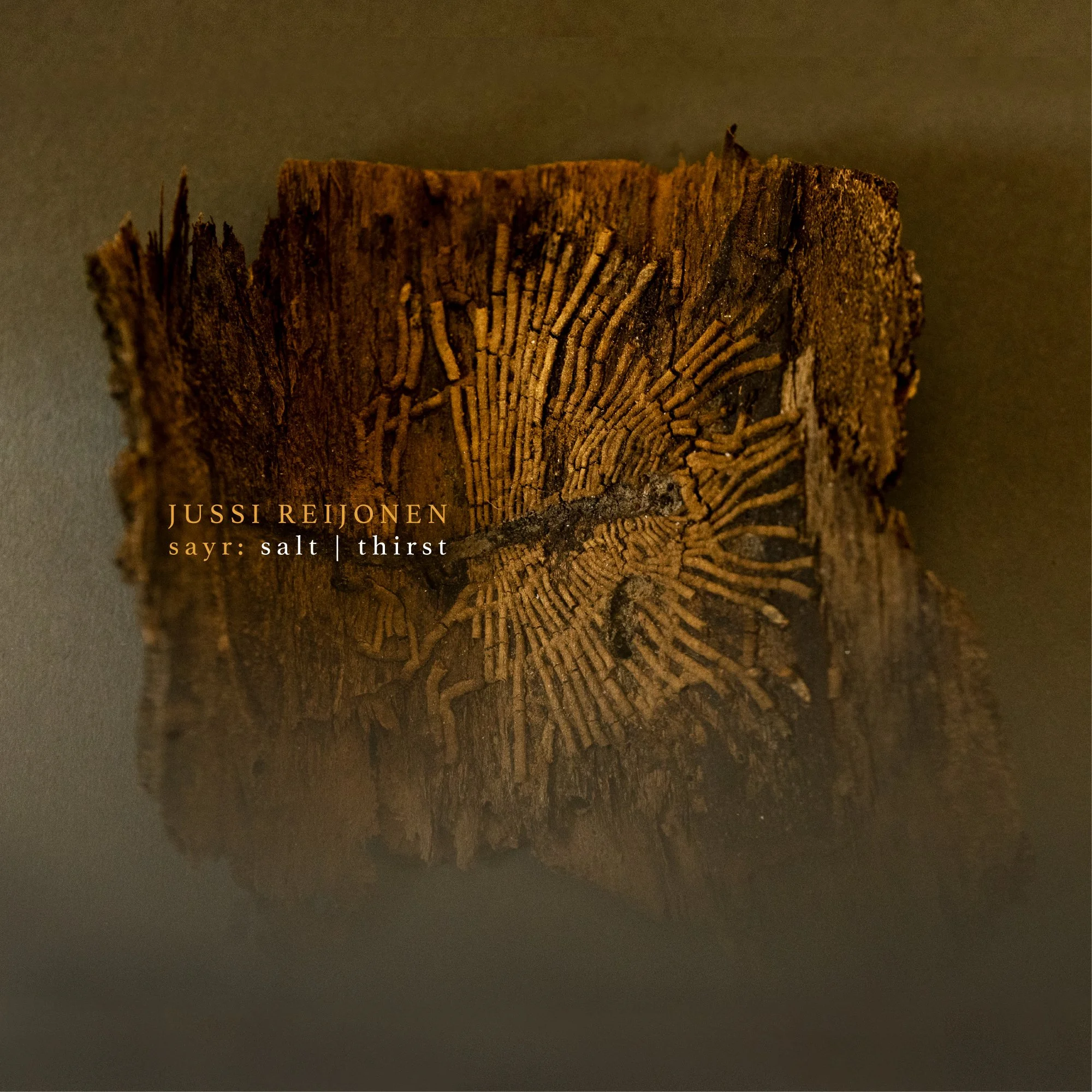 sayr: salt | thirst - Cover Artwork