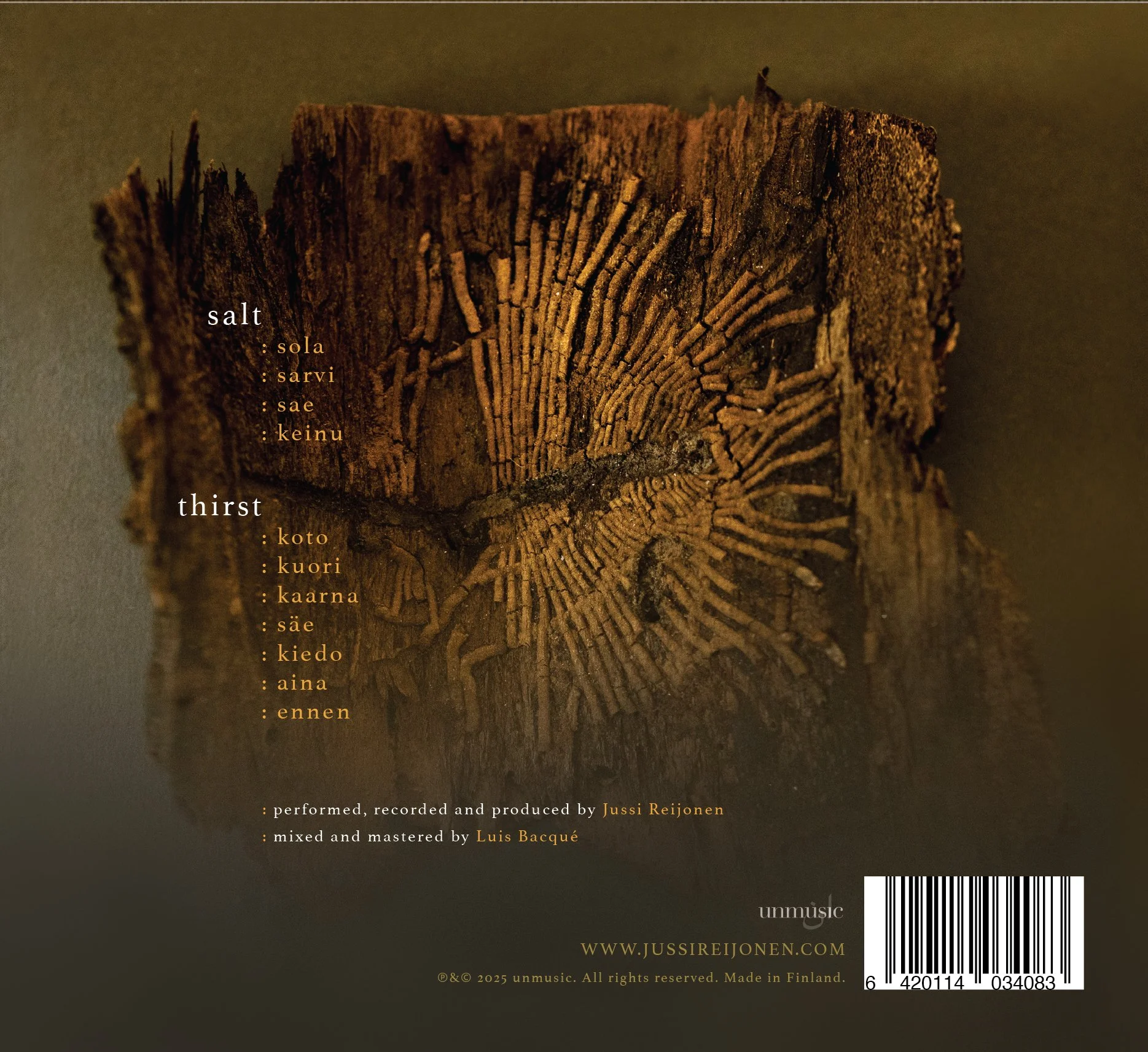 Jussi Reijonen - sayr-salt-thirst - back cover - CD.jpg (Copy)